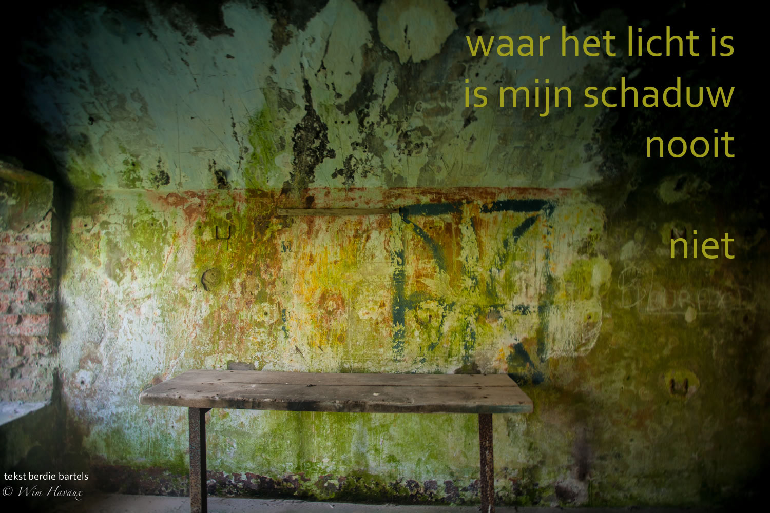met Wim Havaux