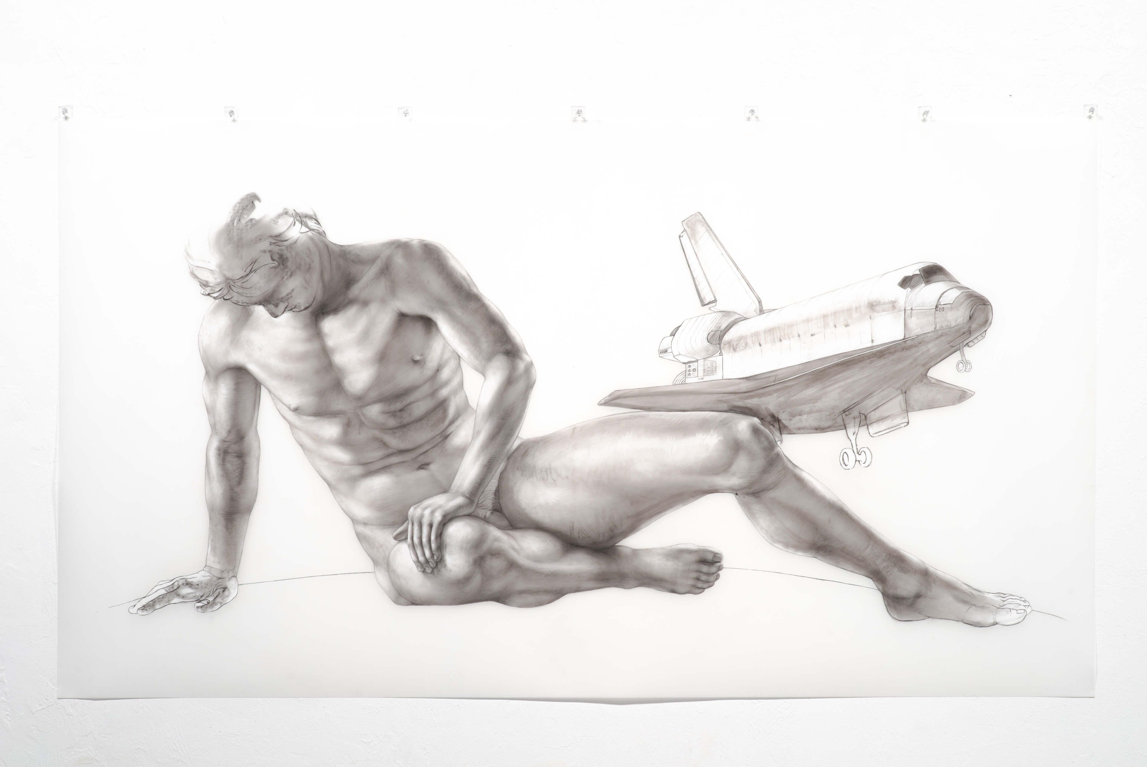 Albatrosses, 2022, charcoal, graphite & acrylic on DuraLar, 40" x 72"/6'