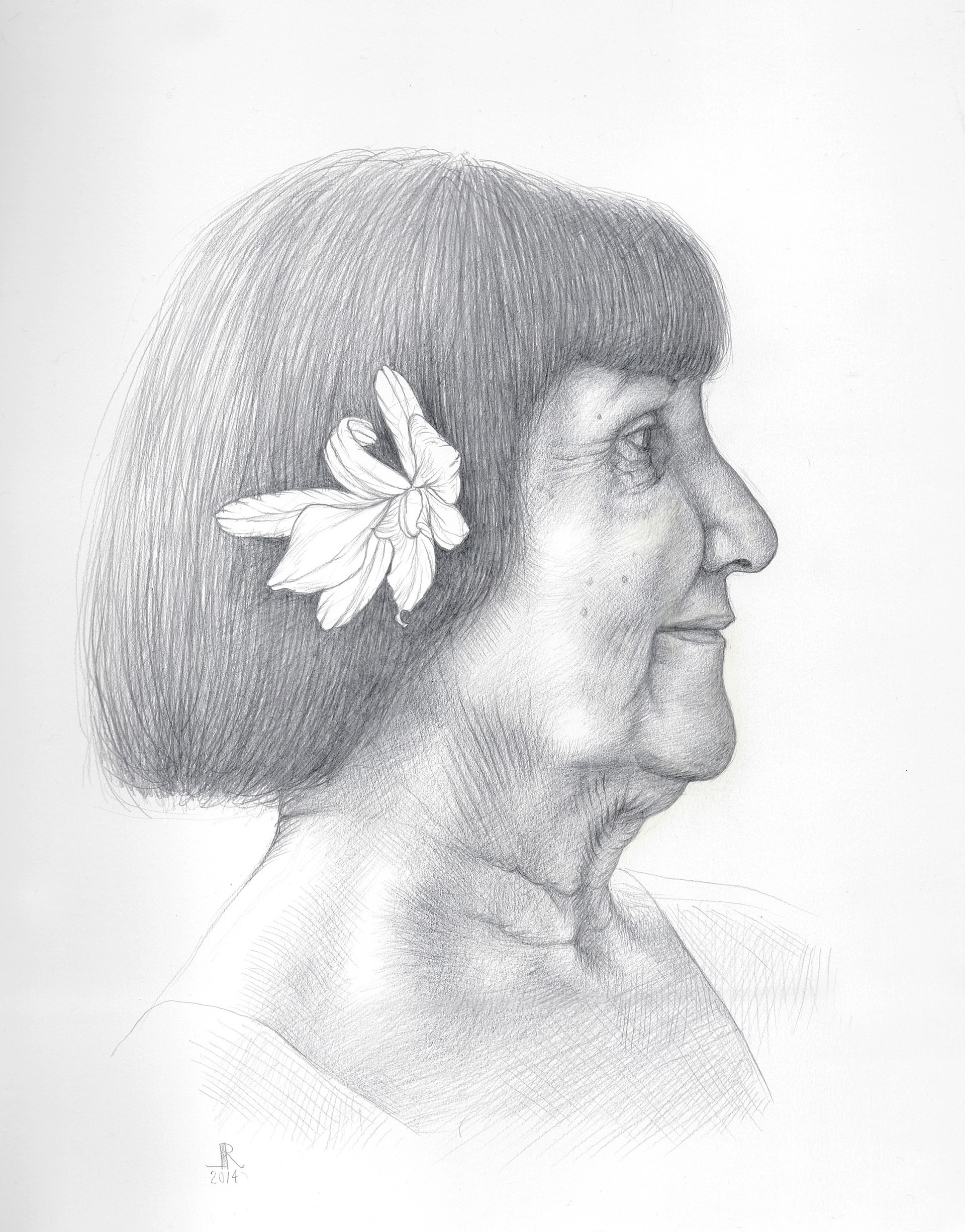 Tía Bertha, 2015, silverpoint & goldpoint on hand-gessoed paper, 10 x 8"