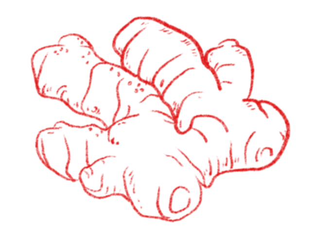 Ginger Illustration