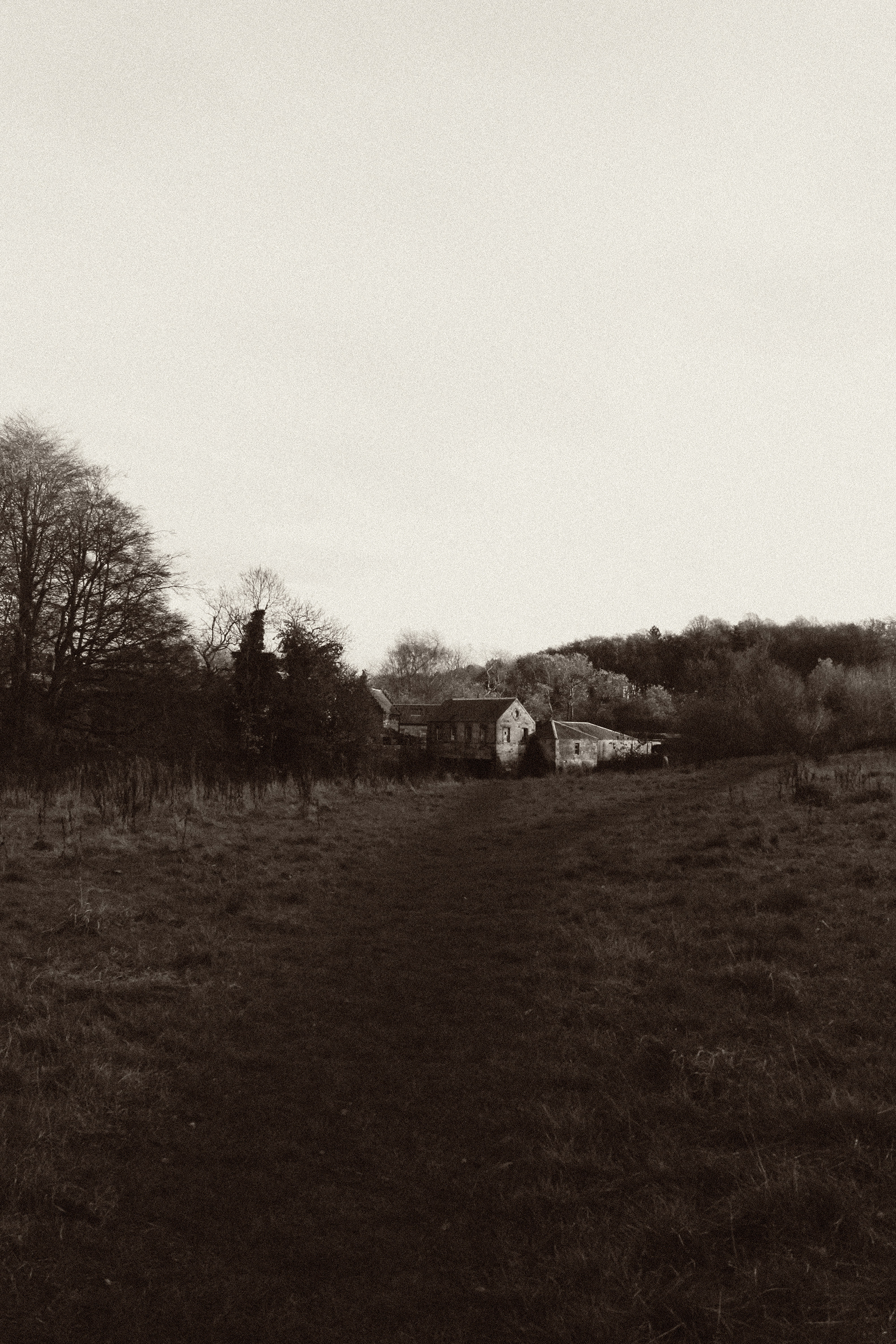 Site Observation, November