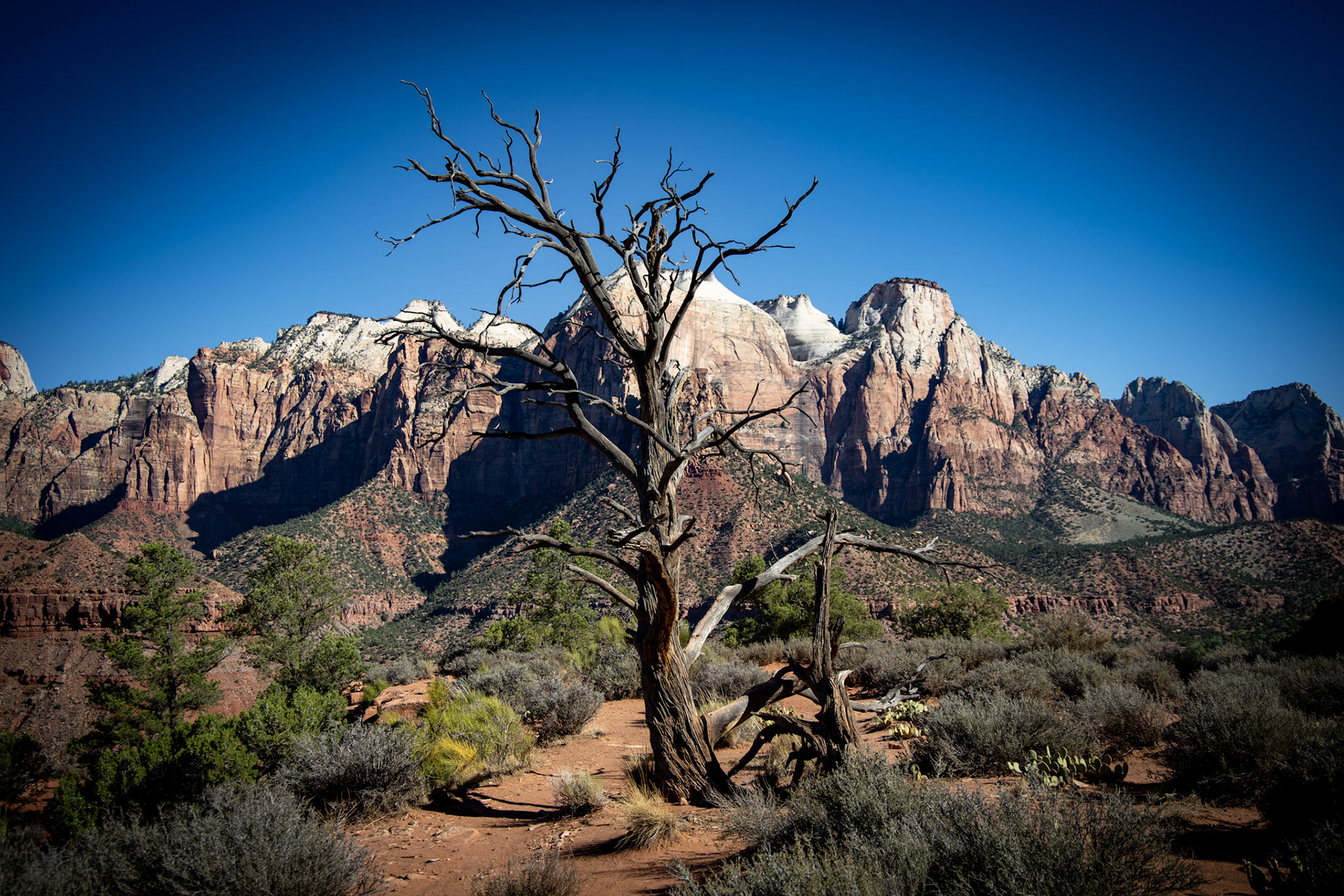 Zion National Park