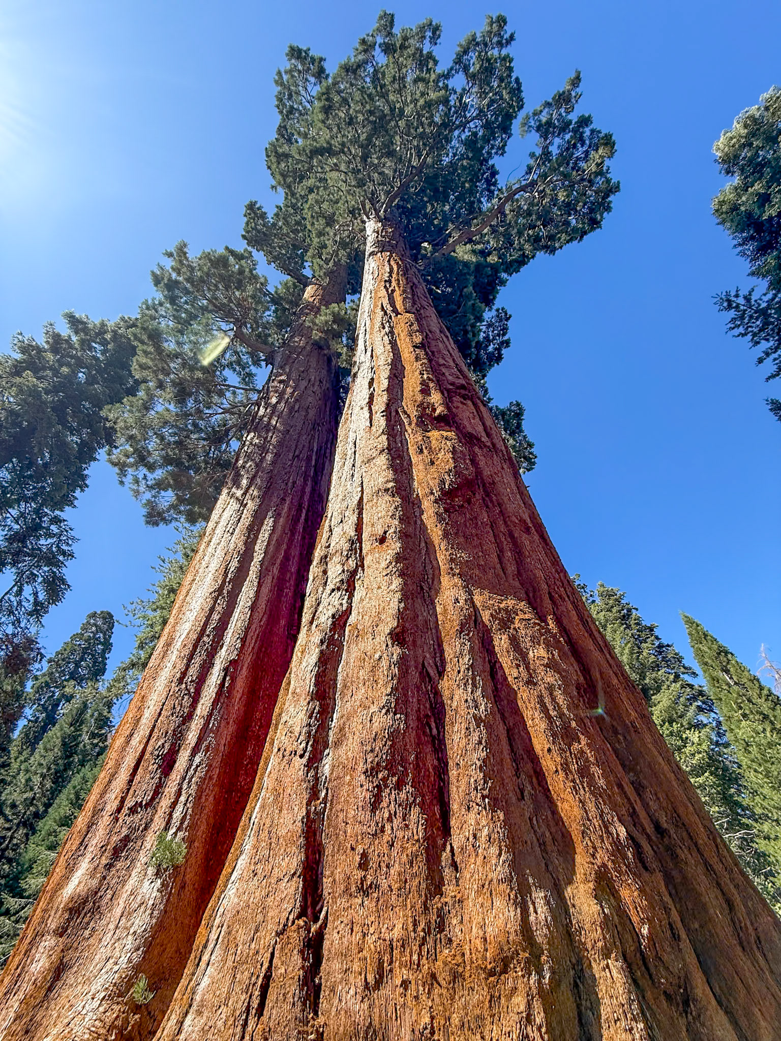 King's Canyon National Park