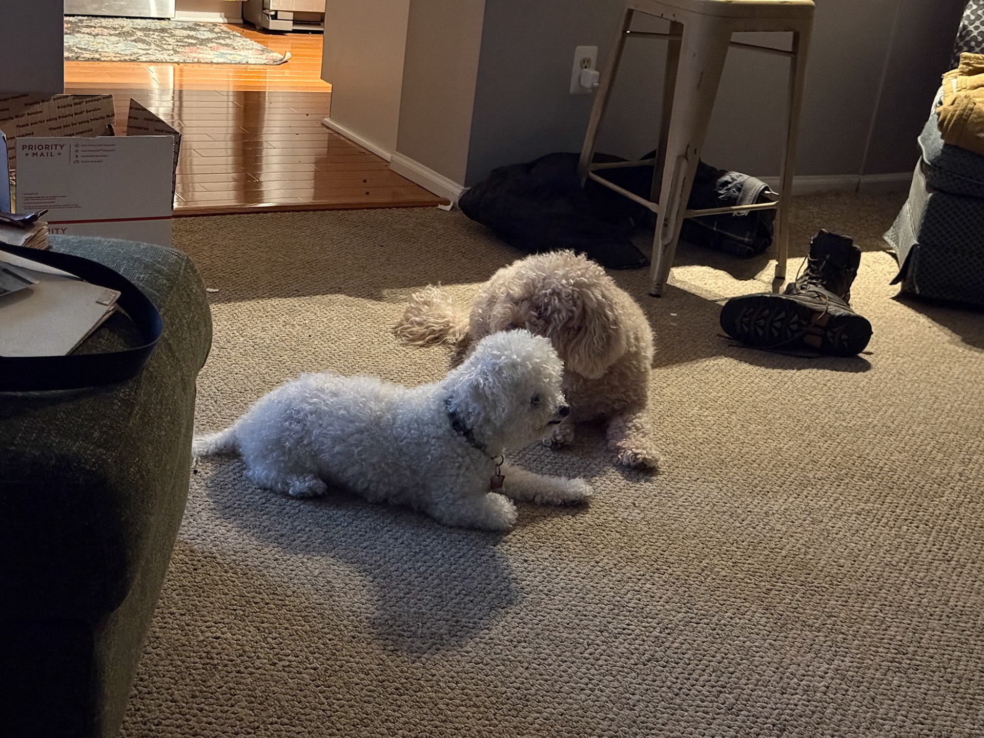 The Boys at Home