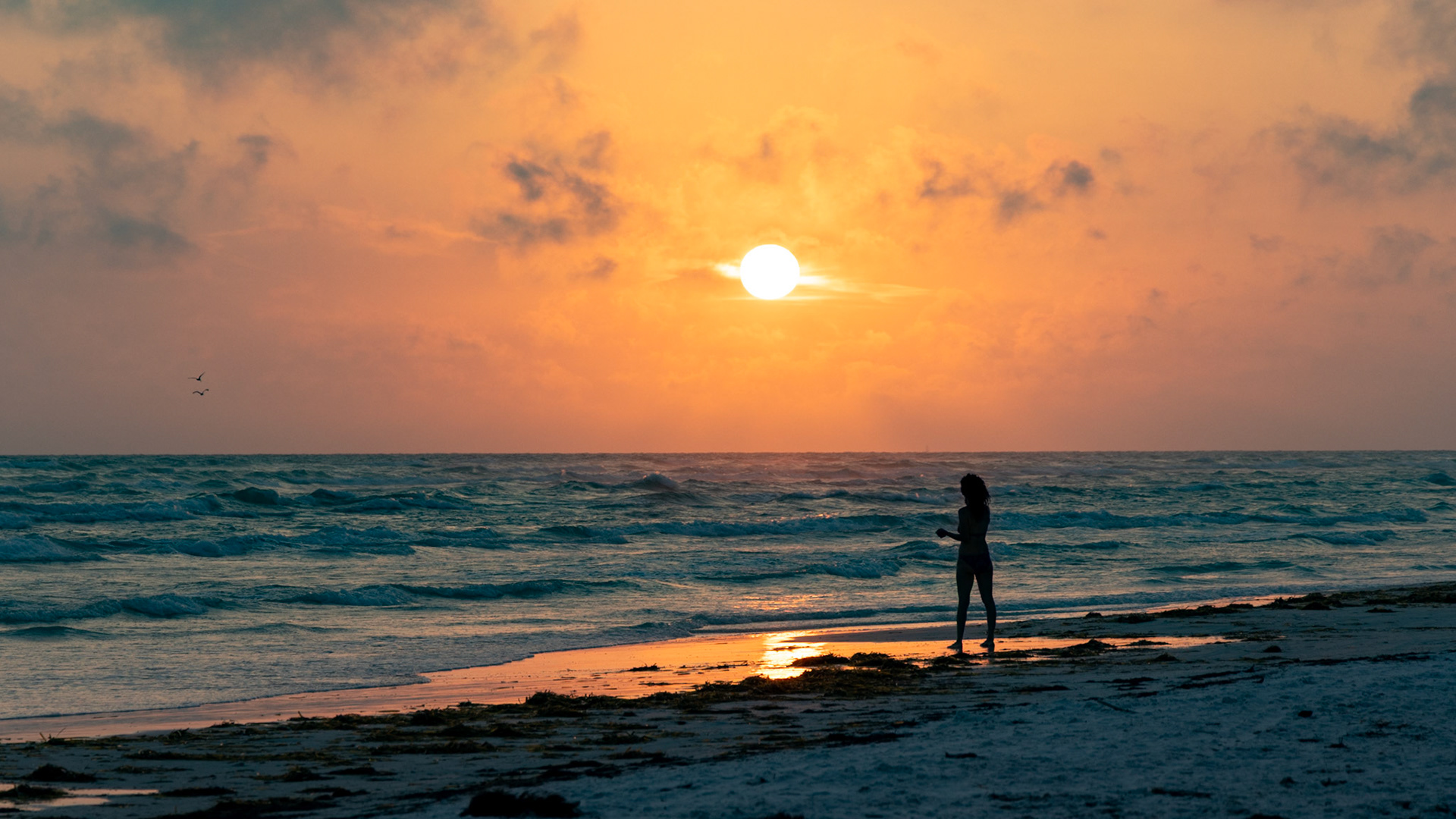 Sunset on Siesta Key