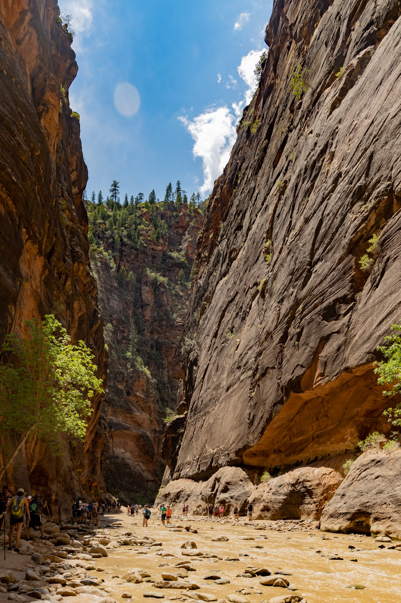 The Narrows at Zion National Park