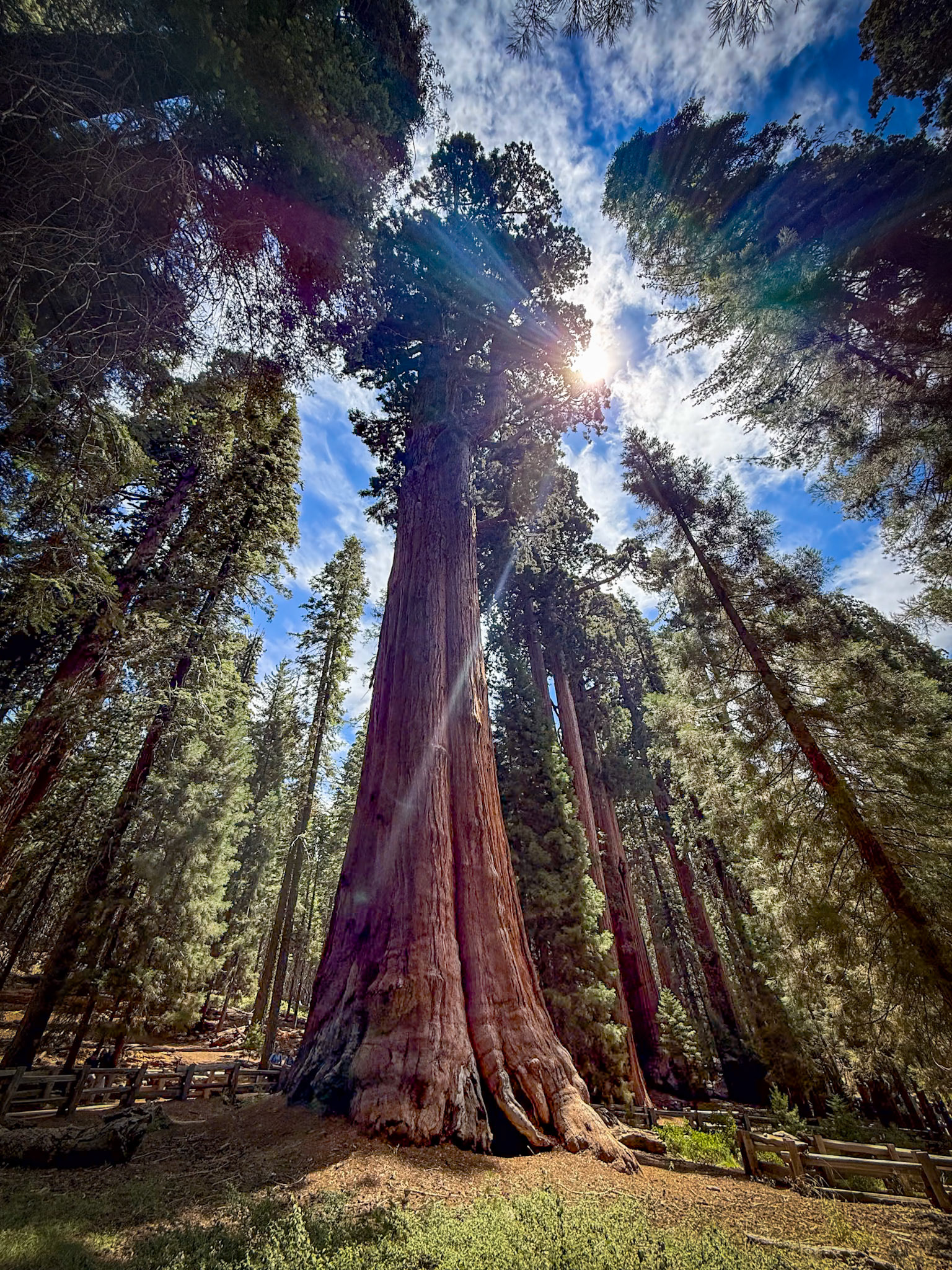 Sequoia National Park