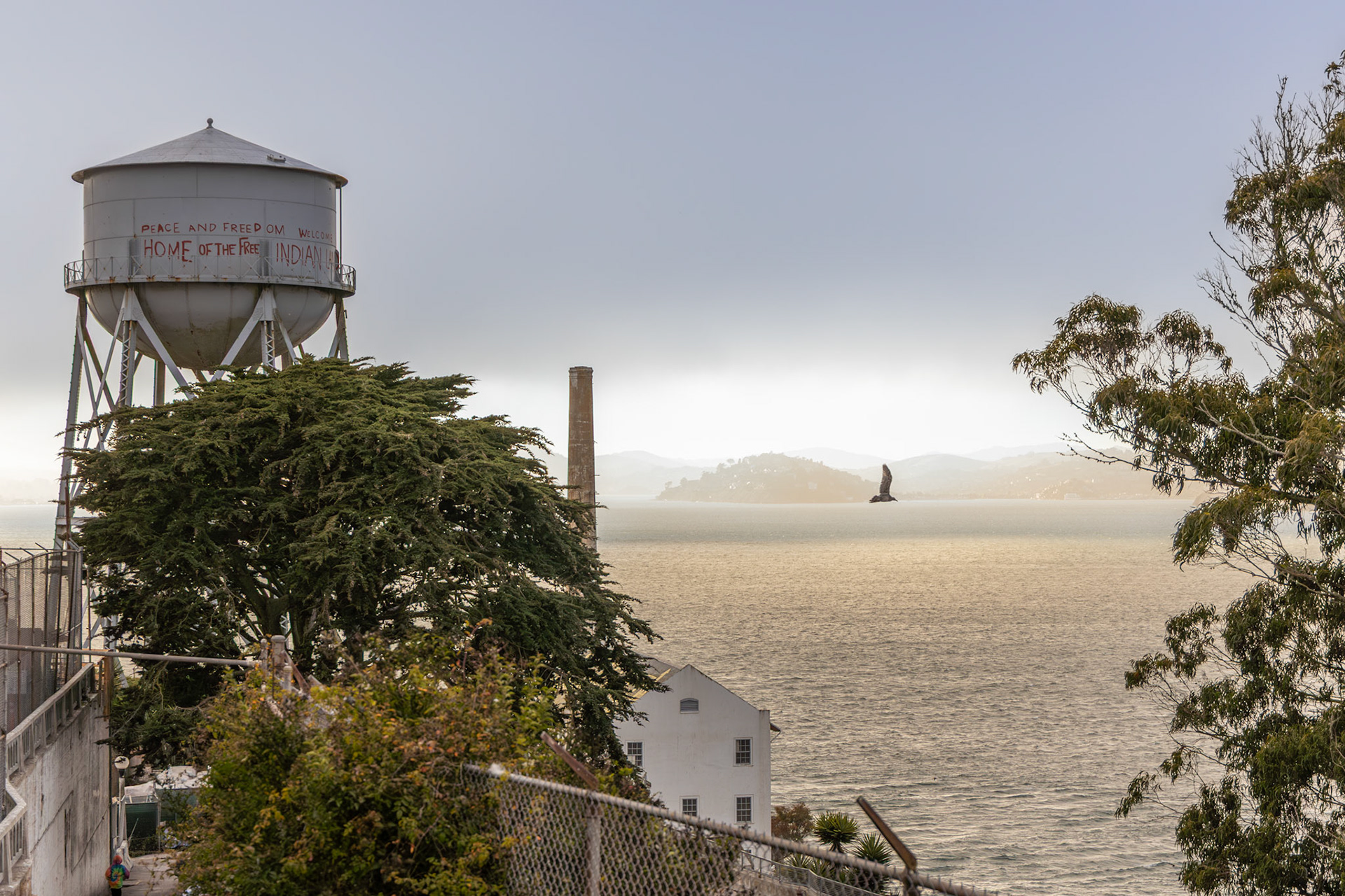 Alcatraz Island in San Francisco