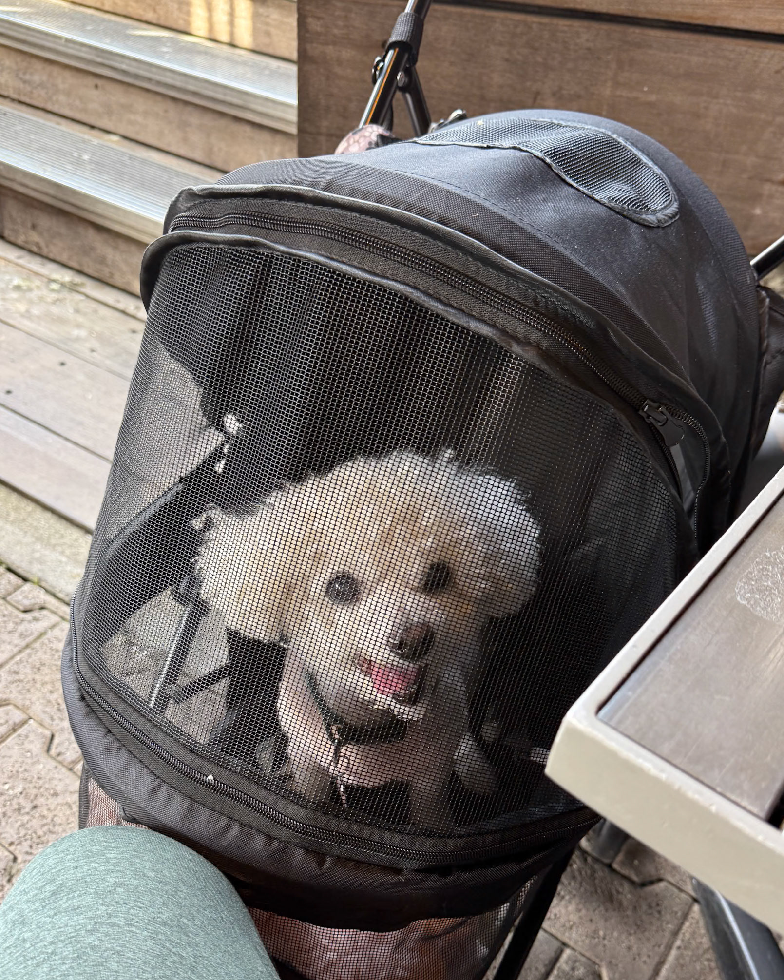 Fisherman's Wharf in San Francisco