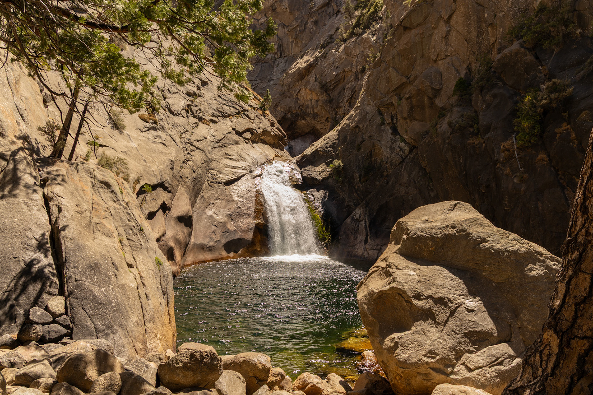 King's Canyon National Park