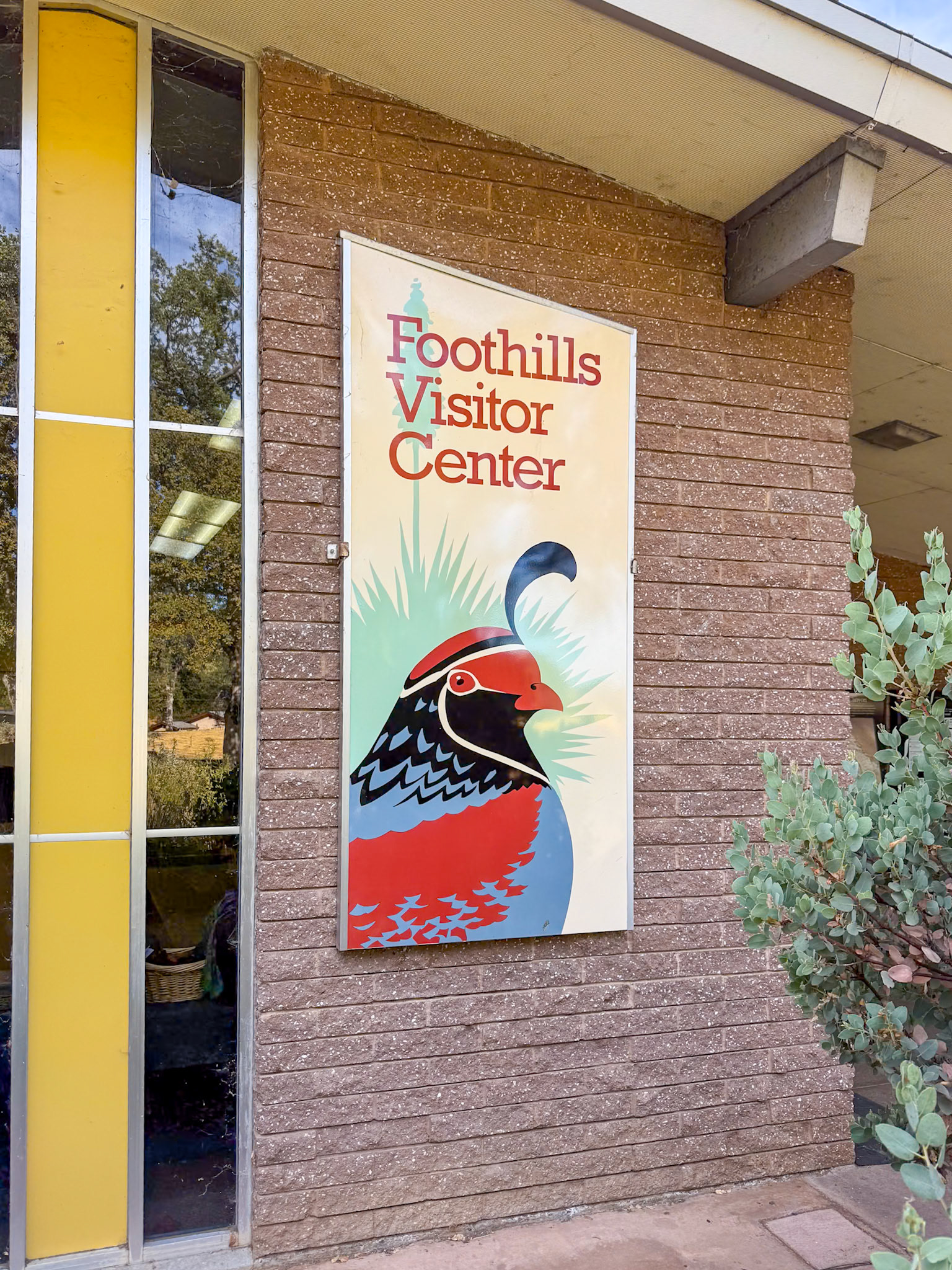 Sequoia National Park