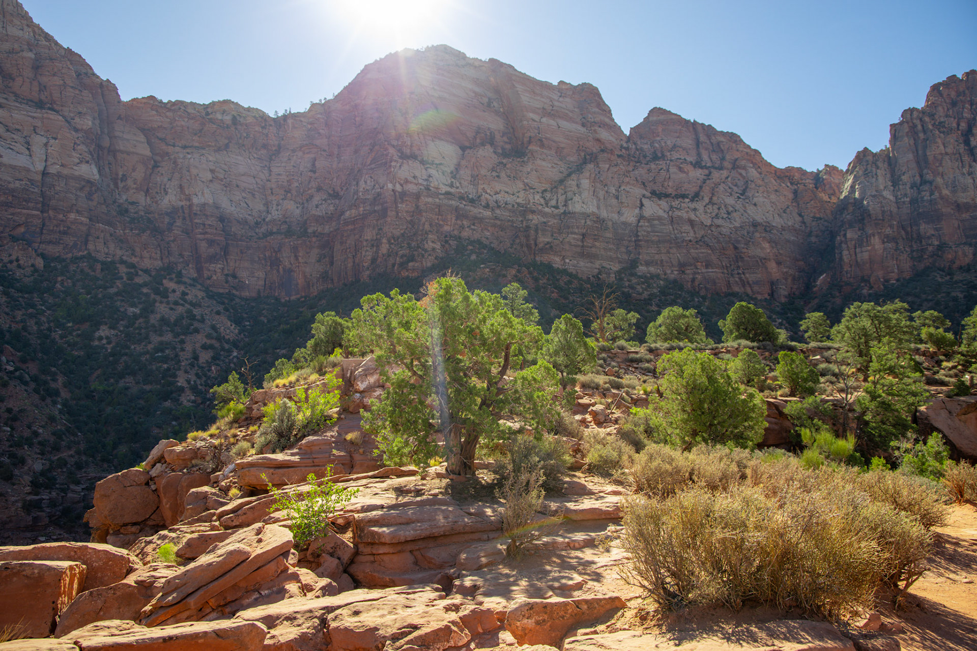 Zion National Park