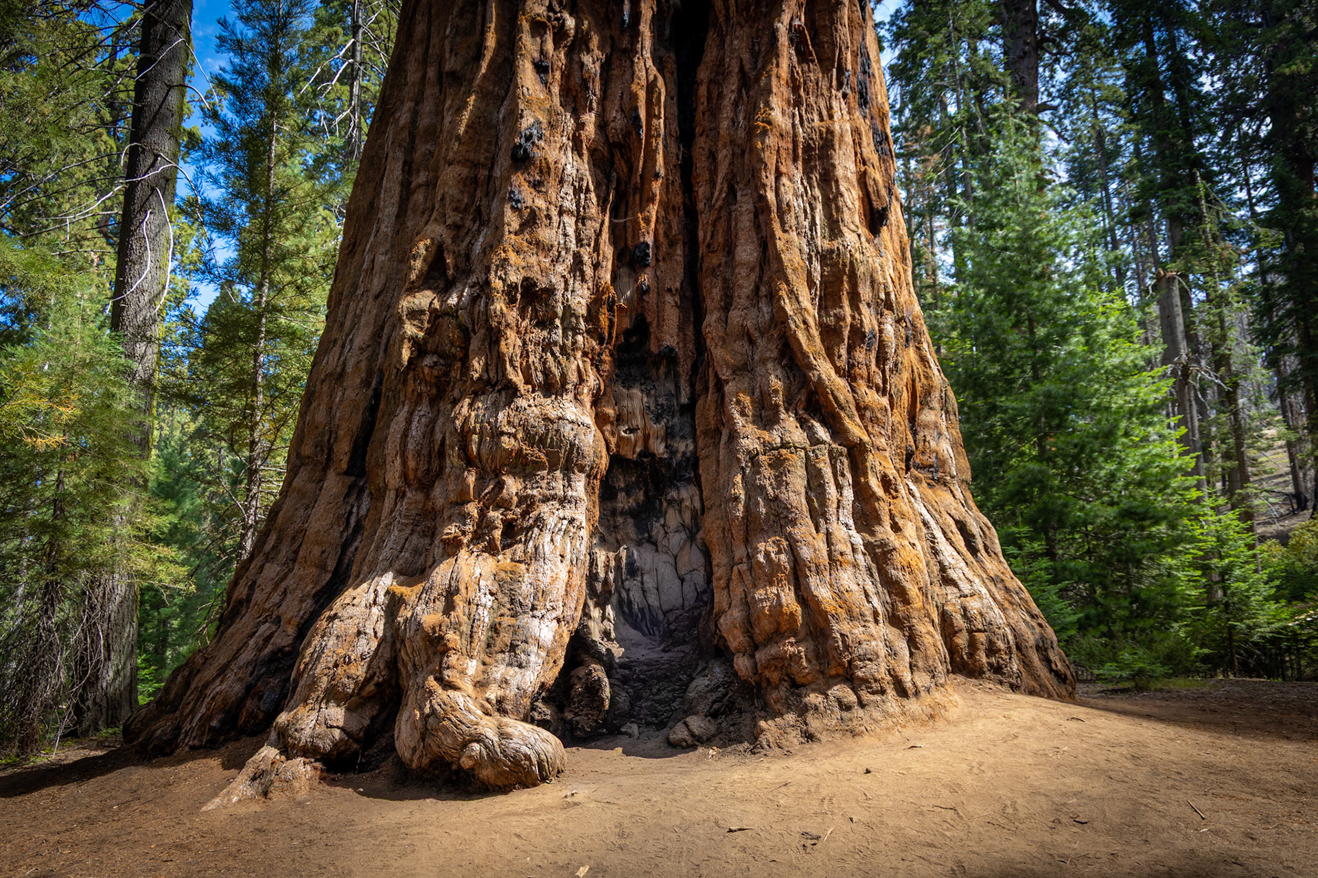Sequoia National Park