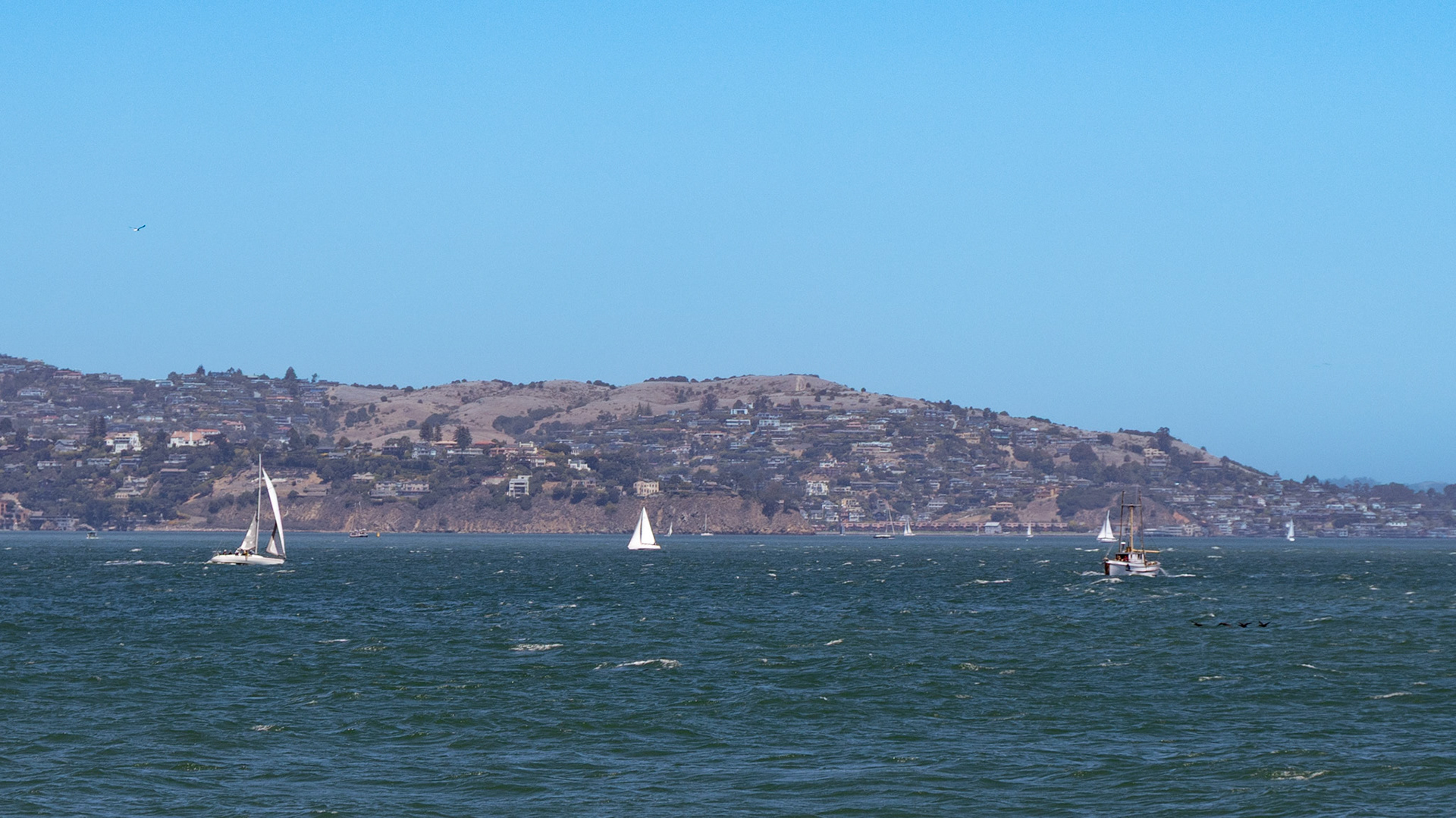 San Francisco