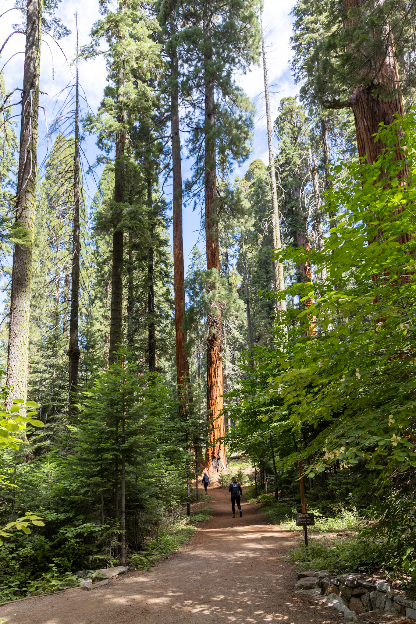 Sequoia National Park