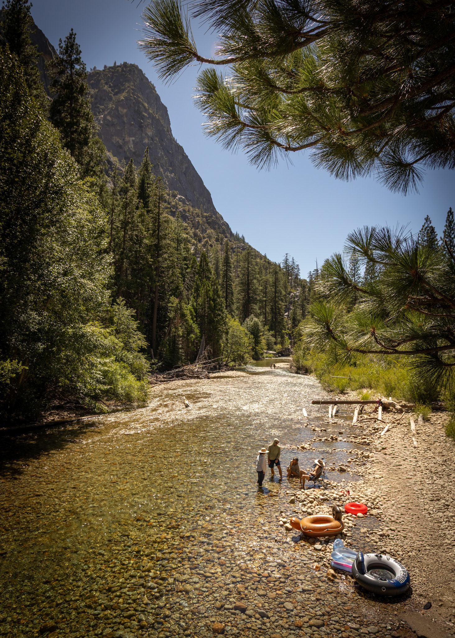 King's Canyon National Park