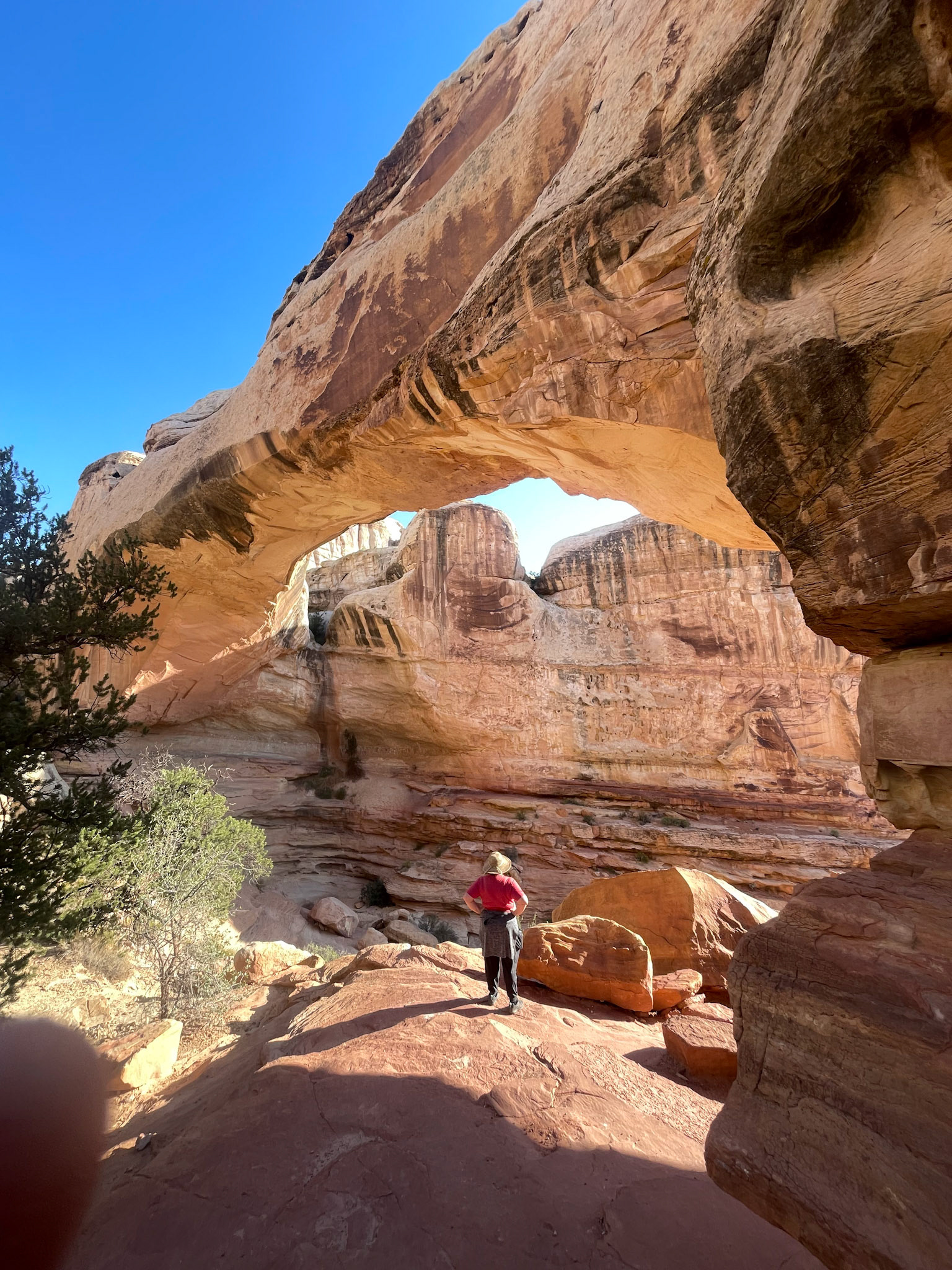 Hickman Bridge At Capitol Reef National Park in Torrey, Utah