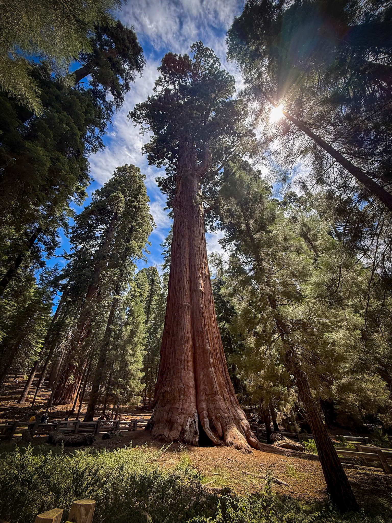 Sequoia National Park