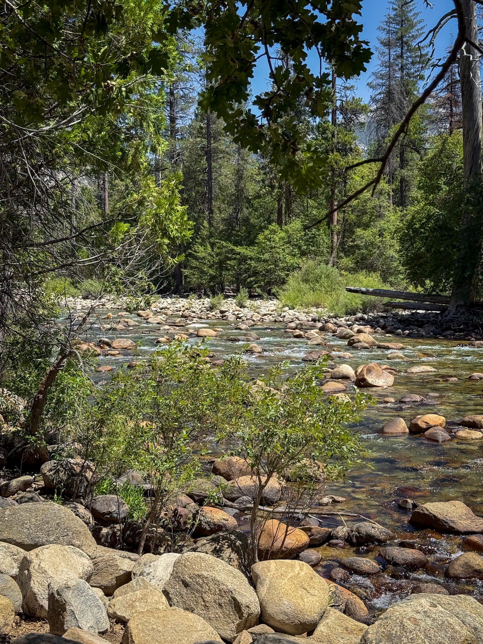 King's Canyon National Park