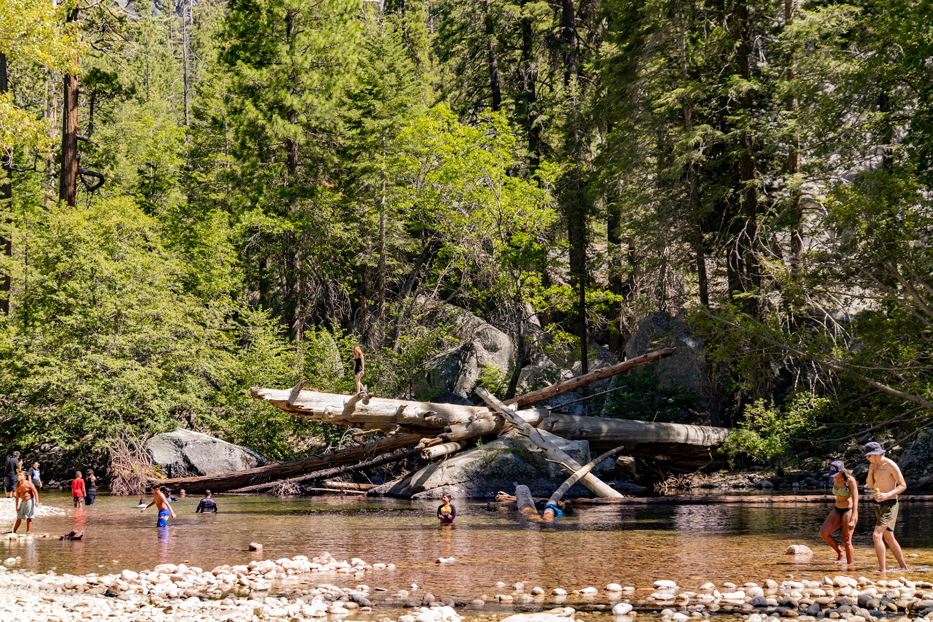King's Canyon National Park