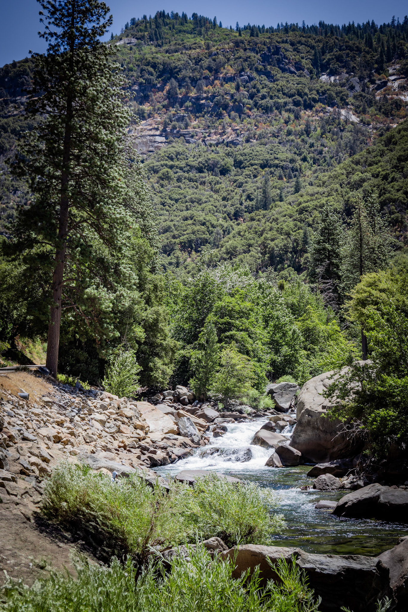 King's Canyon National Park