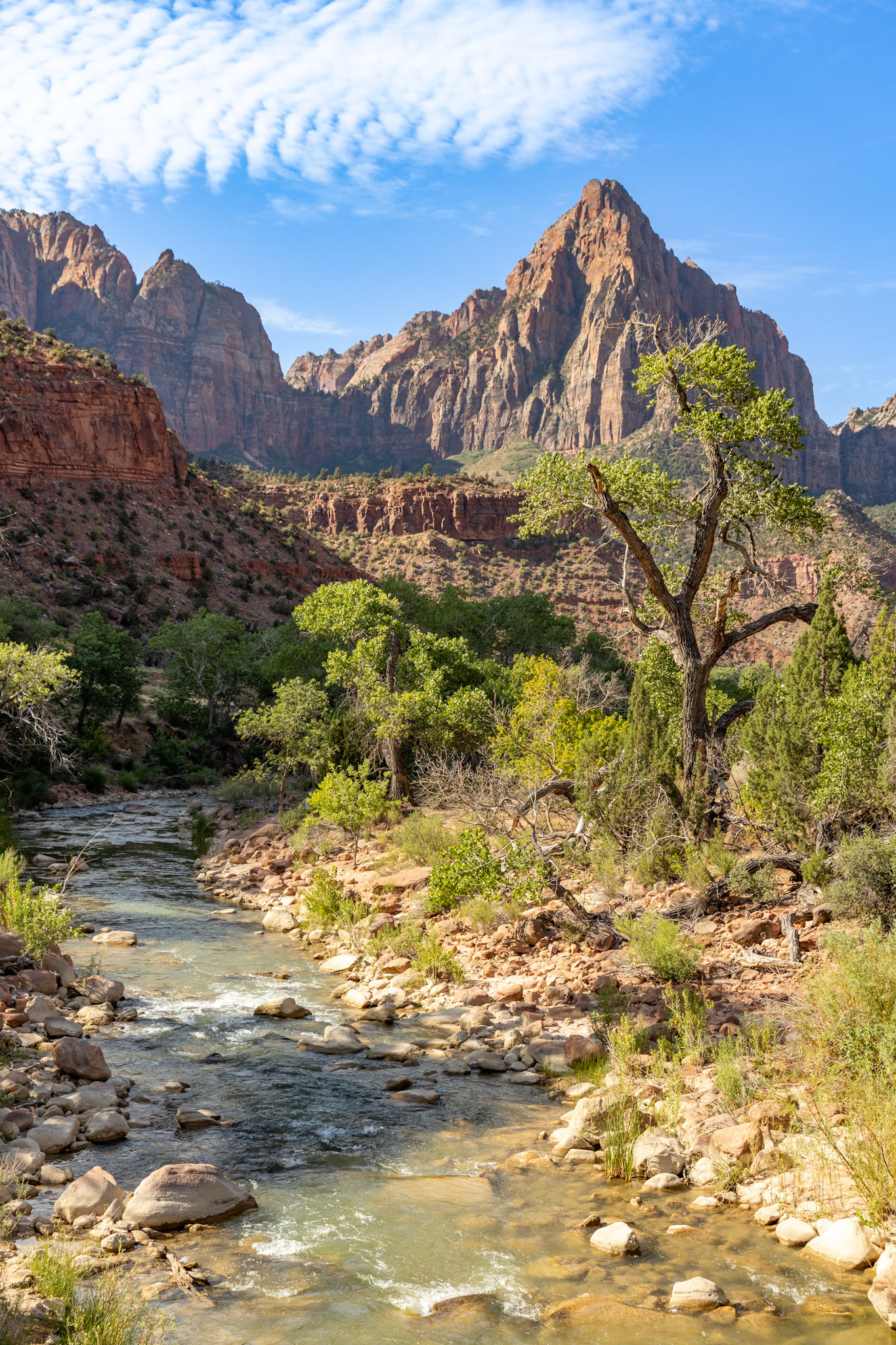 Zion National Park In Springdale, Utah