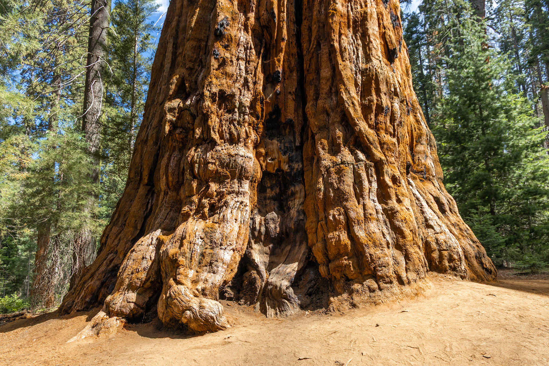 Sequoia National Park