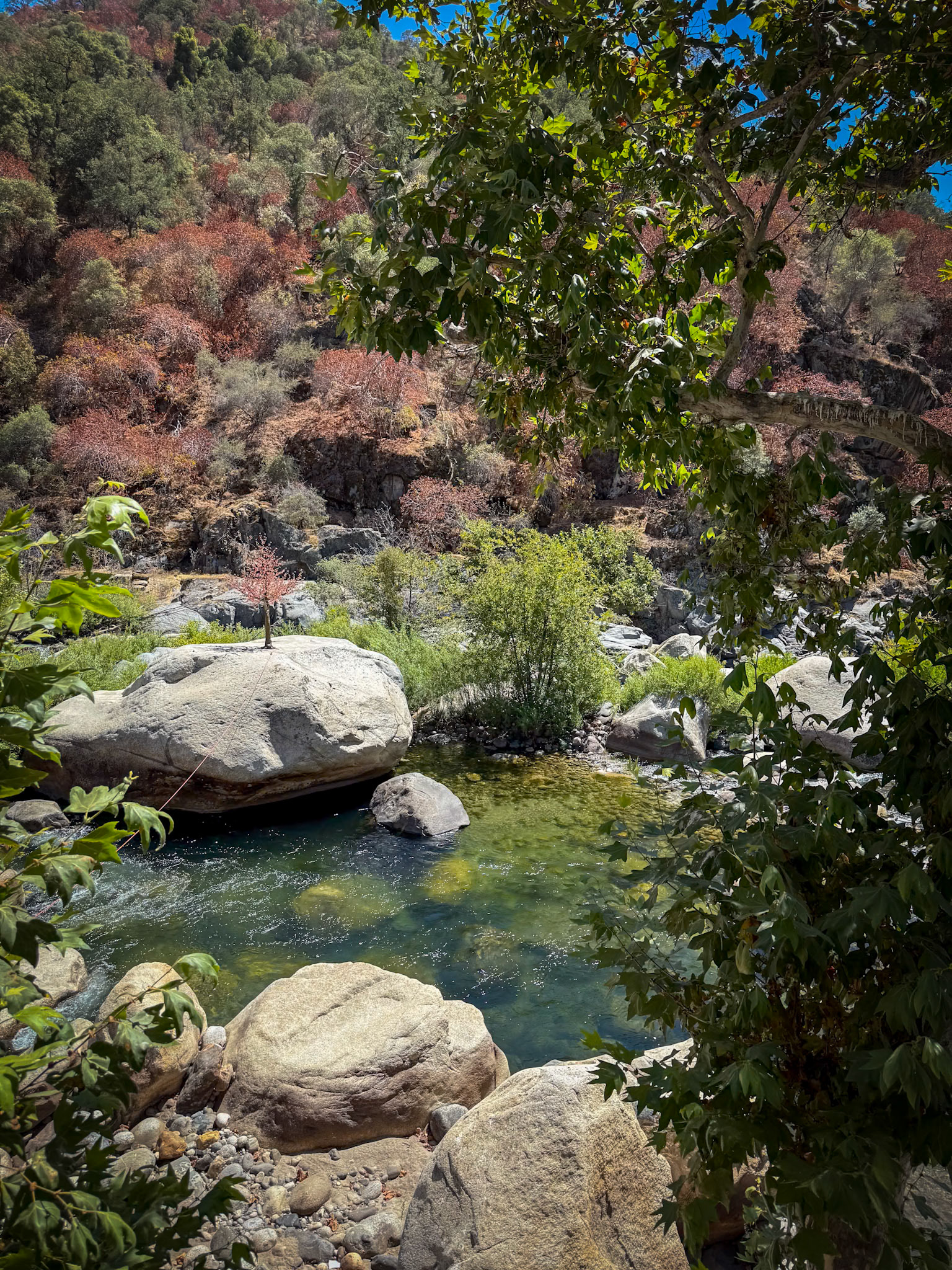 Sequoia National Park