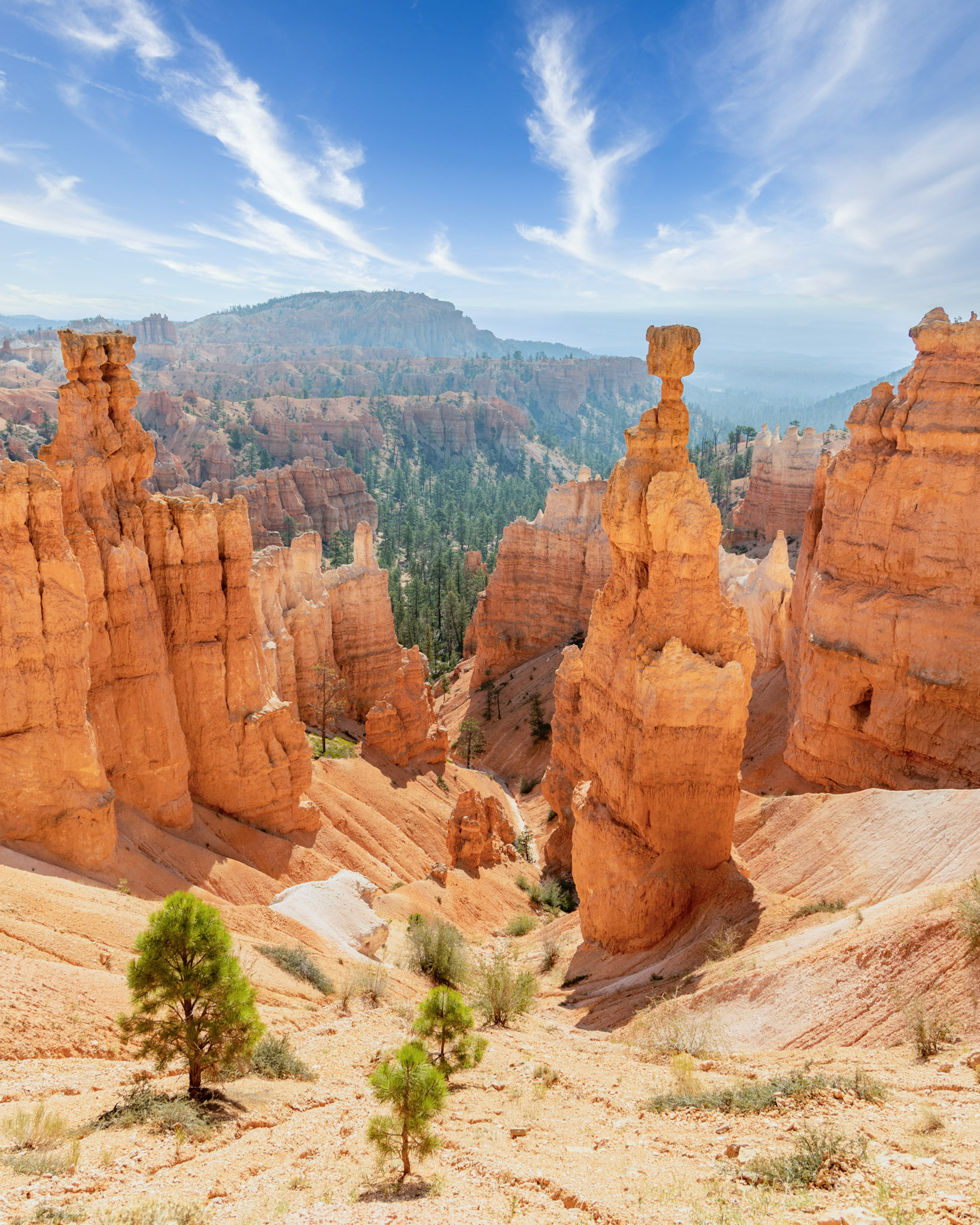 Navajo Loop Trail at Bryce Canyon National Park