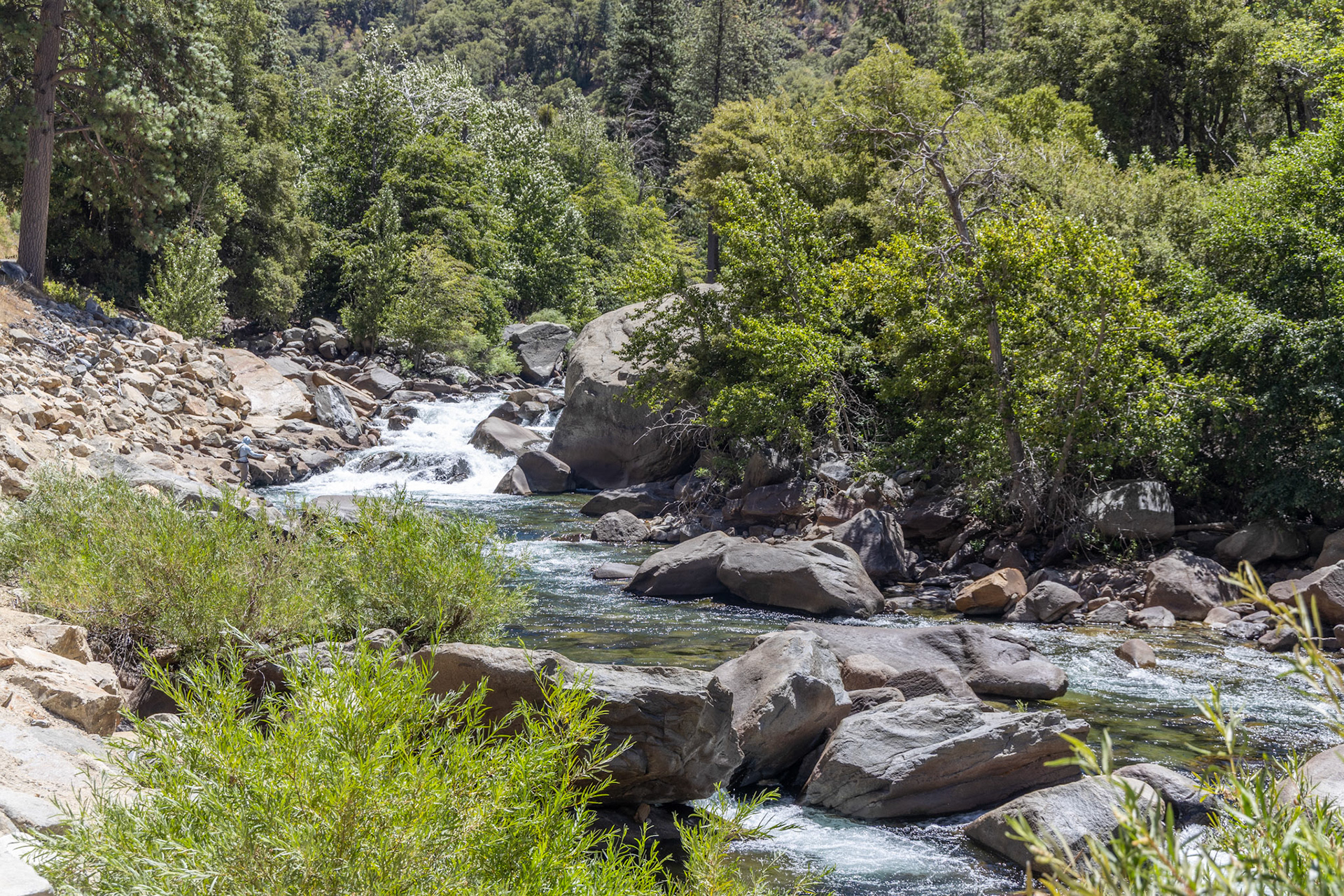King's Canyon National Park