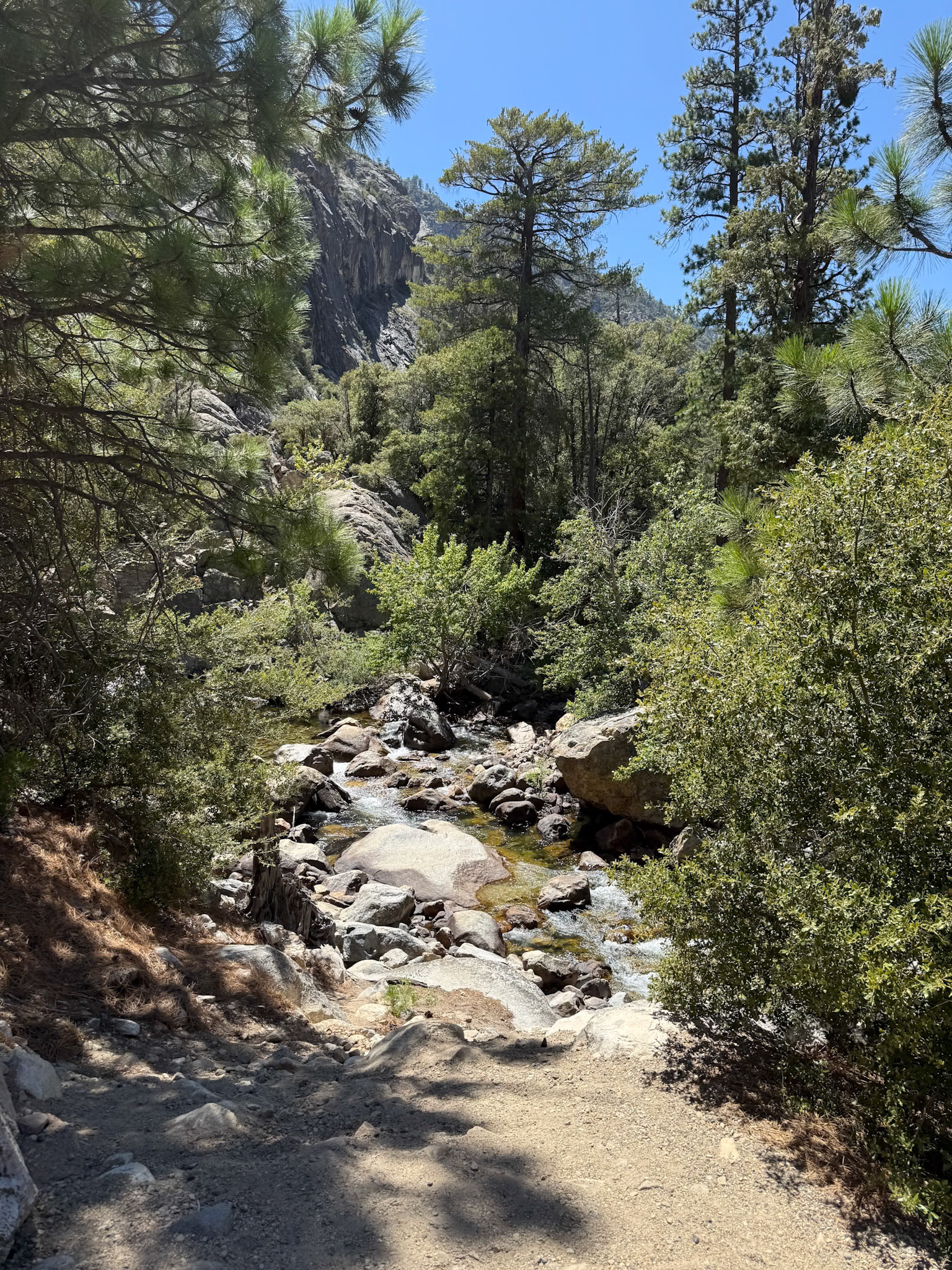 King's Canyon National Park