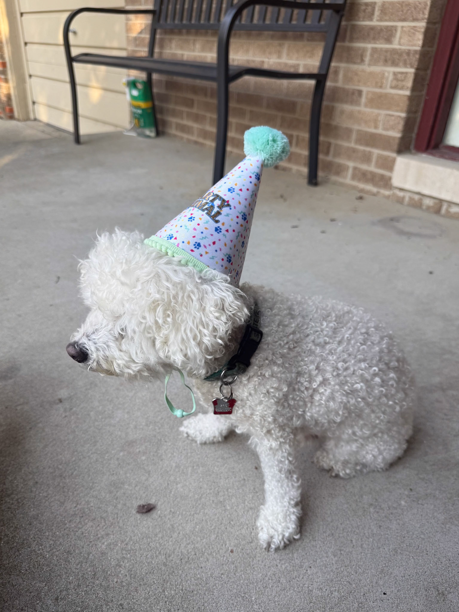 Buddy's 16th Birthday