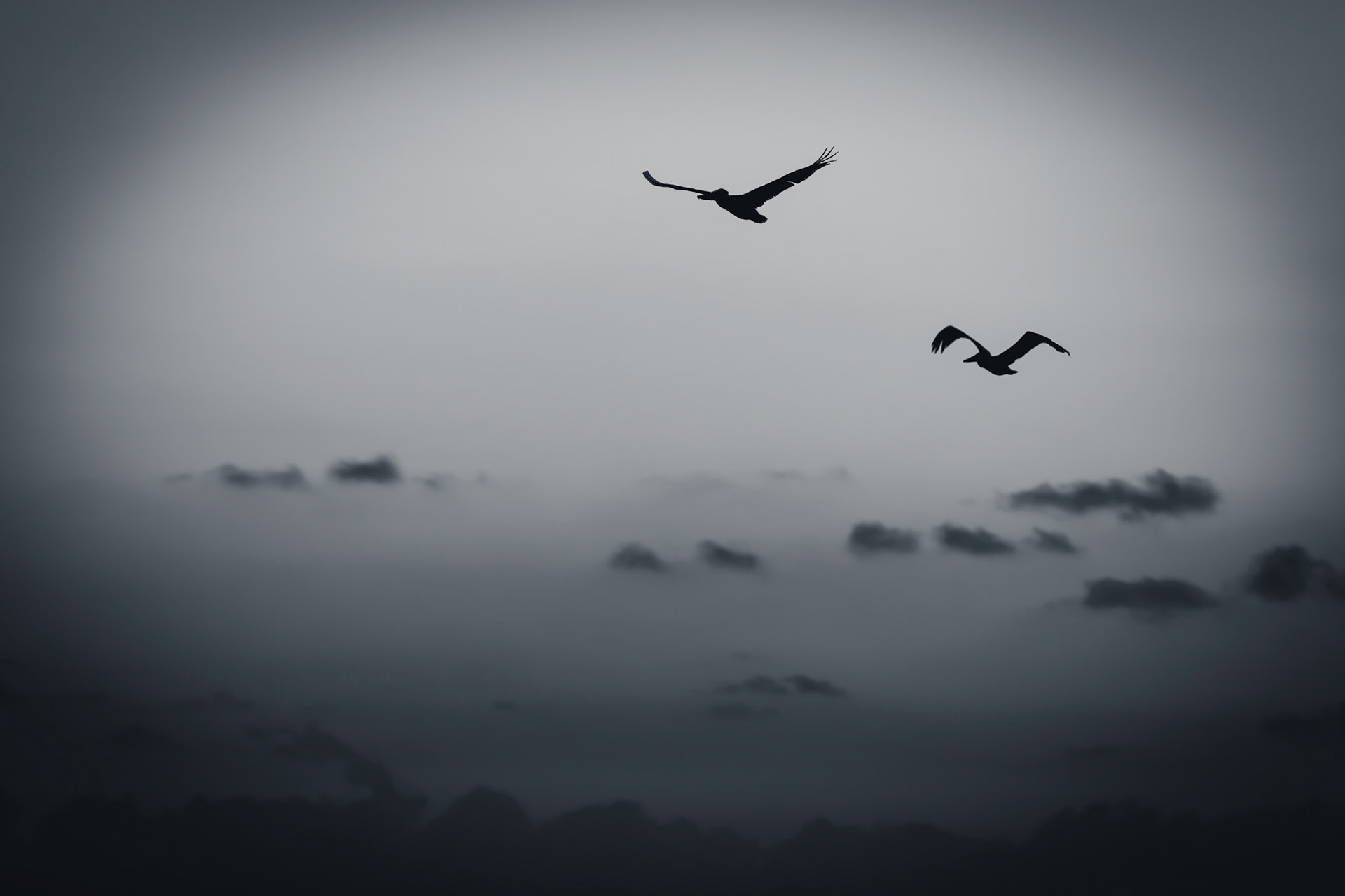 Sunset on Siesta Key