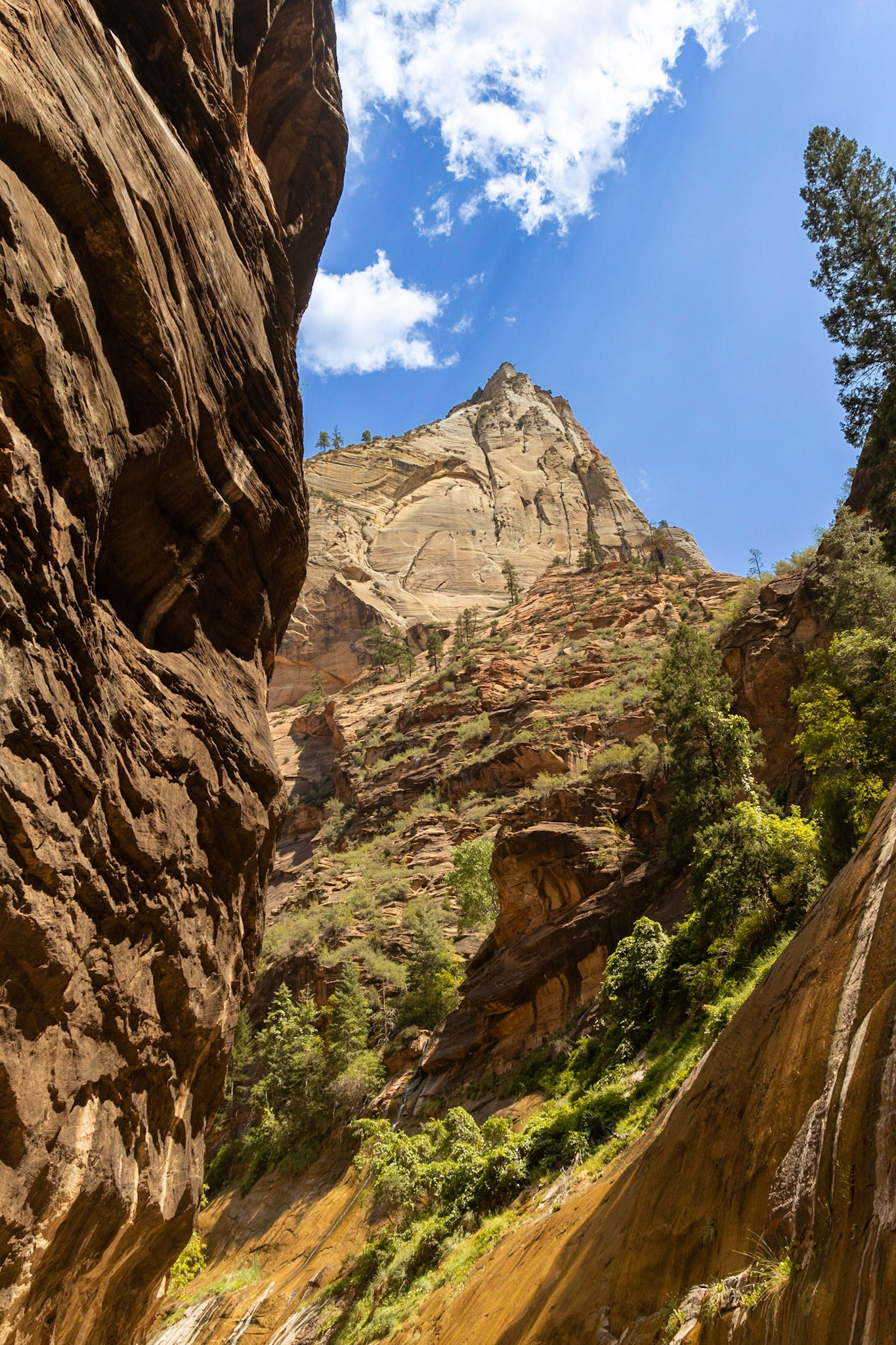 The Narrows at Zion National Park