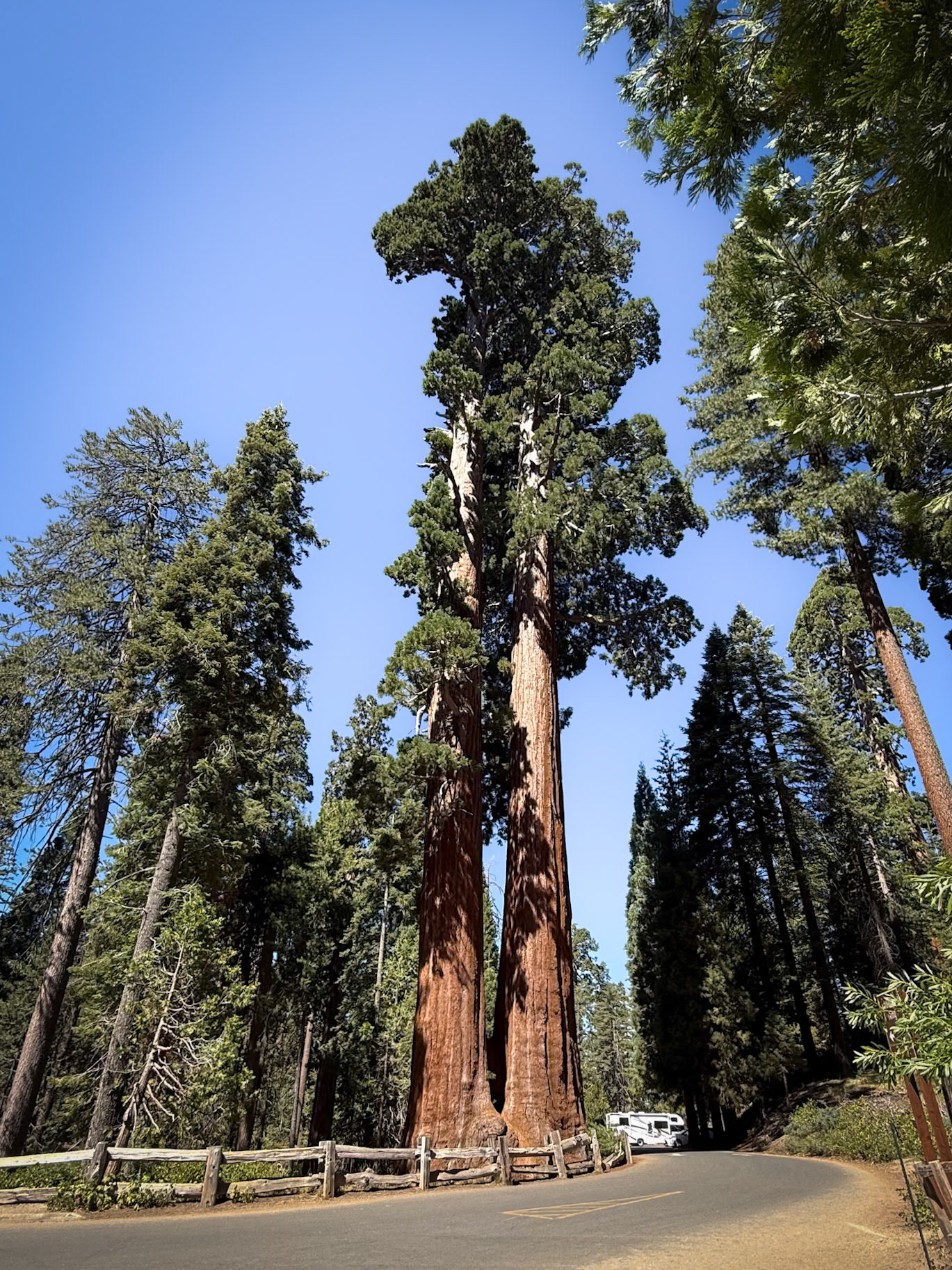 King's Canyon National Park