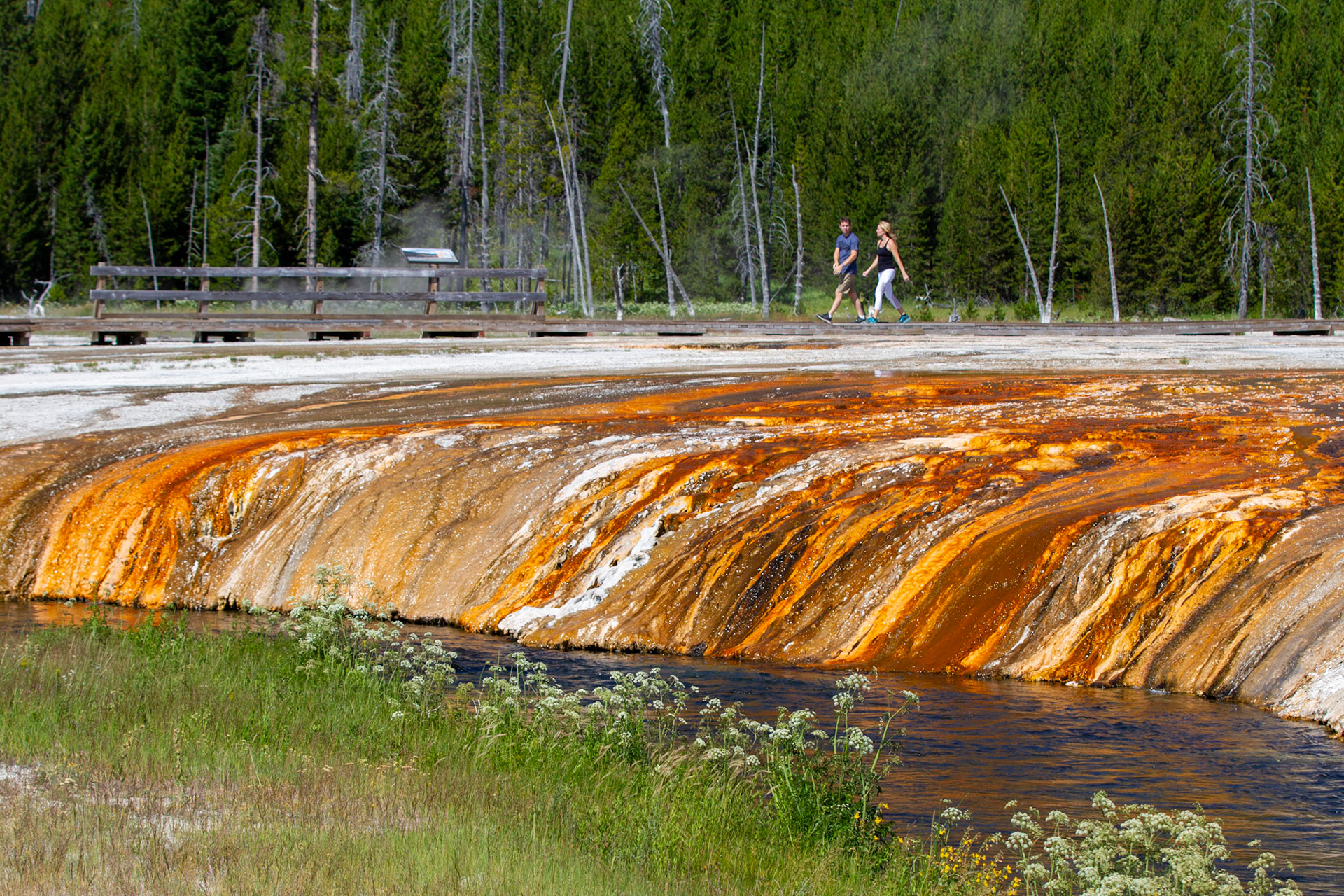 Black Sand Basin at Yellowstone National Park