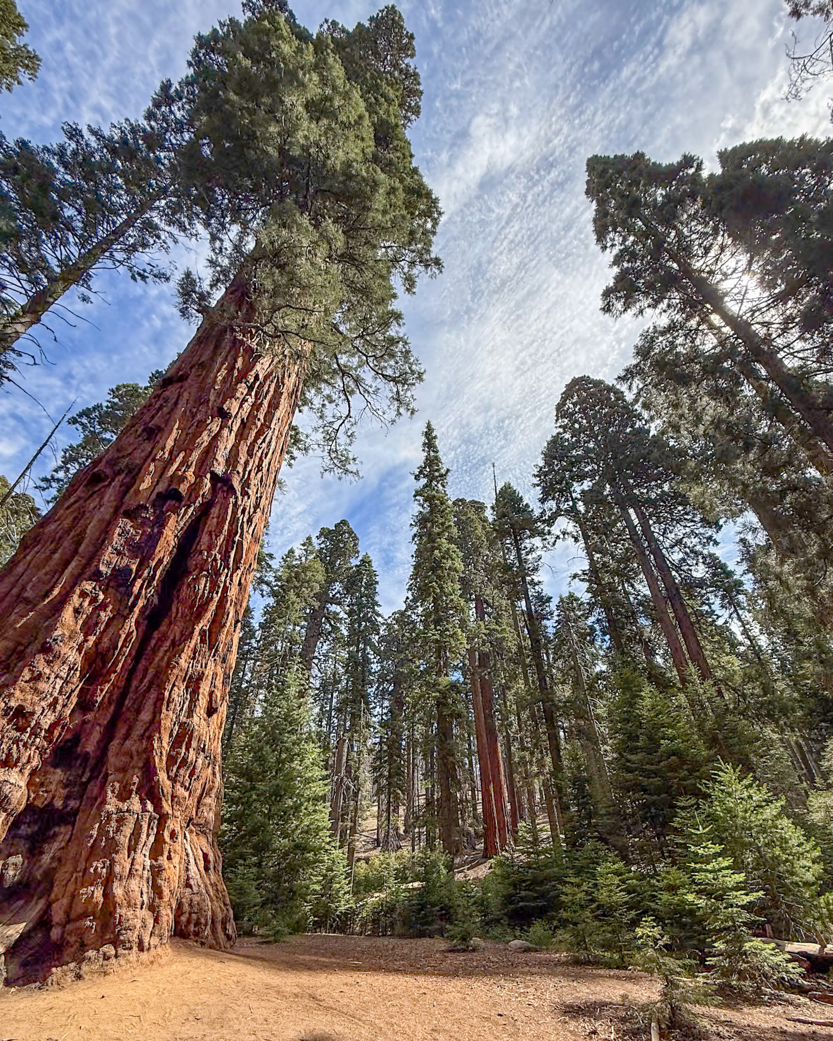 Sequoia National Park