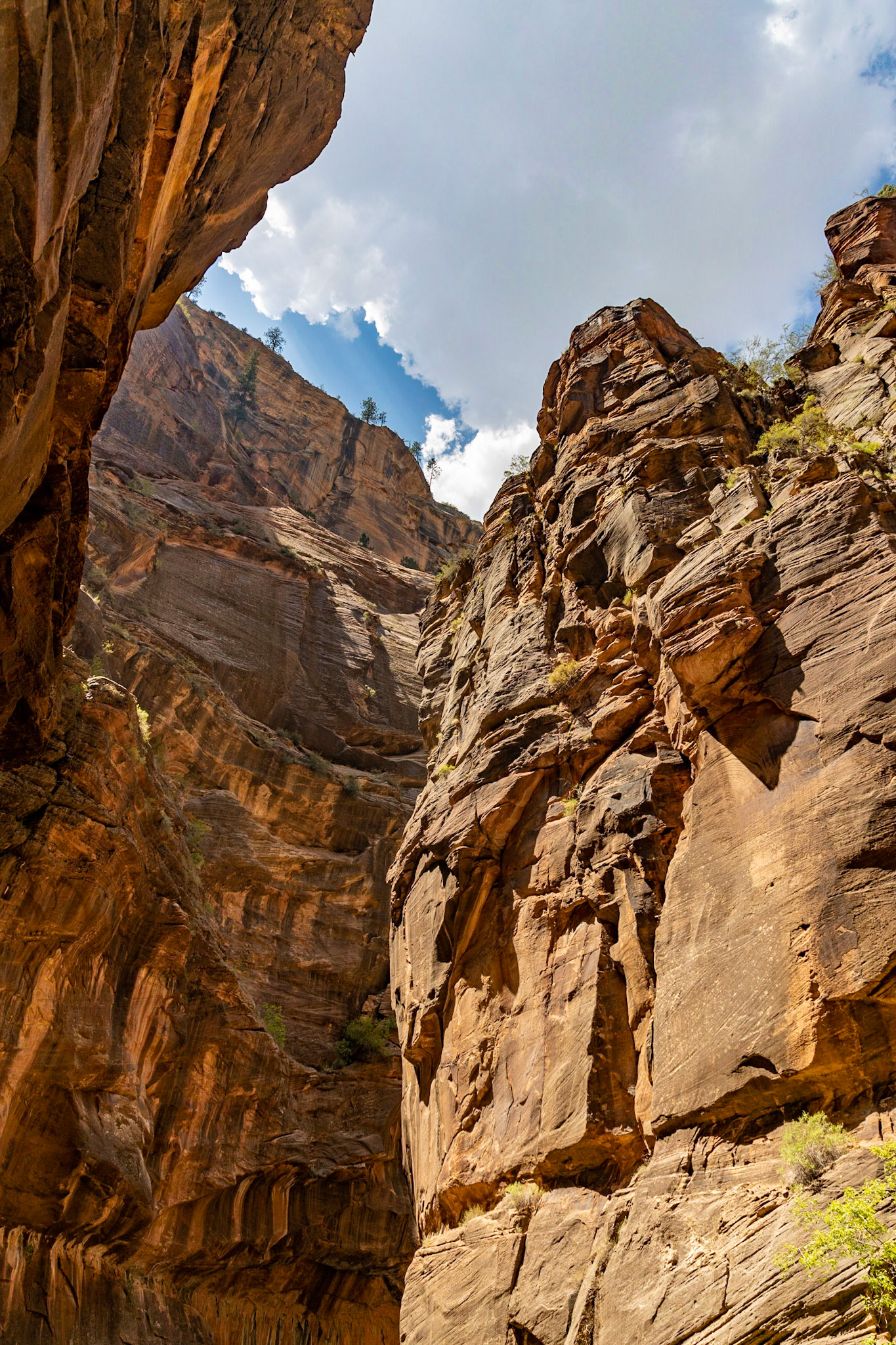 The Narrows at Zion National Park
