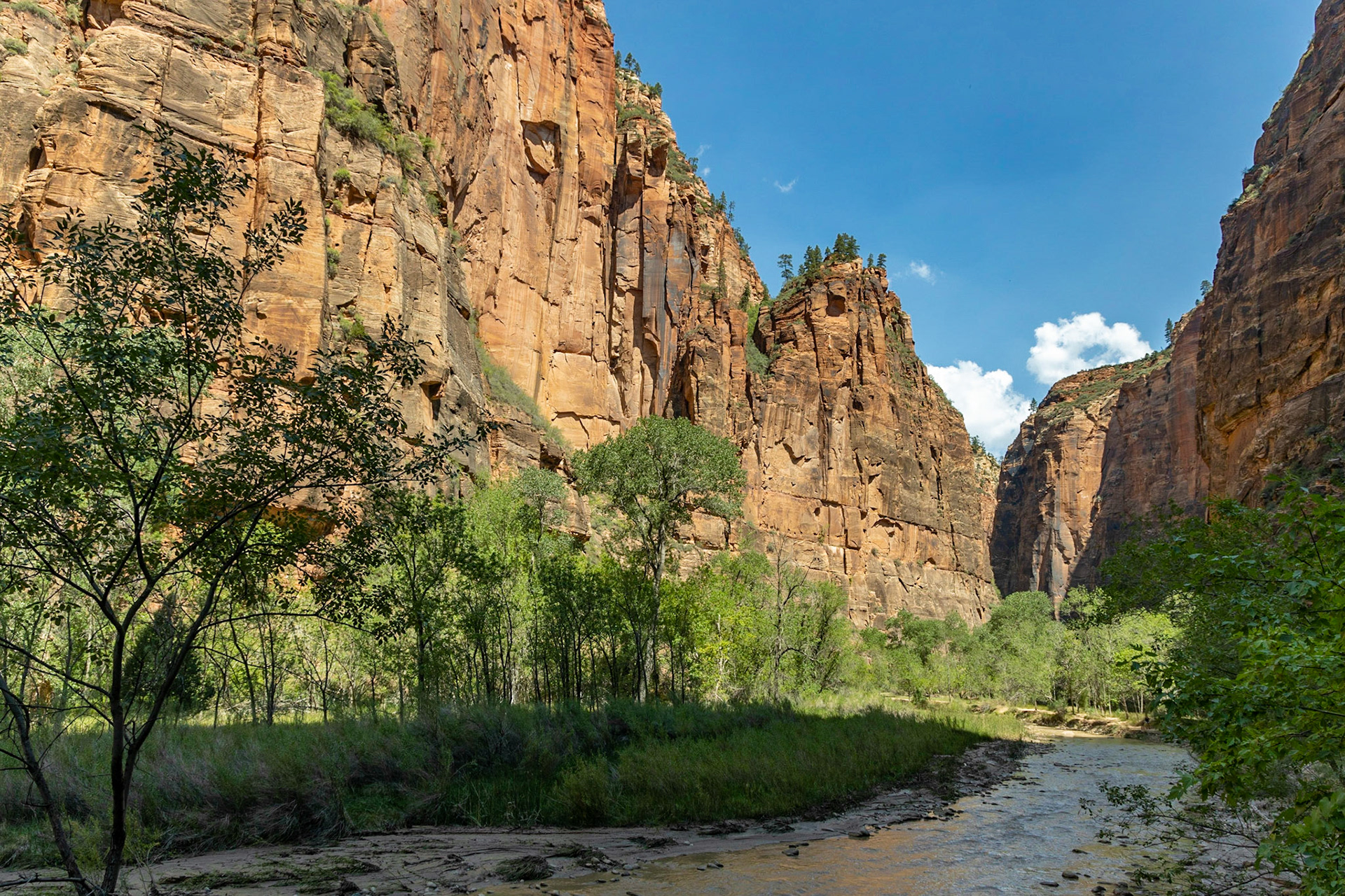 The Narrows at Zion National Park