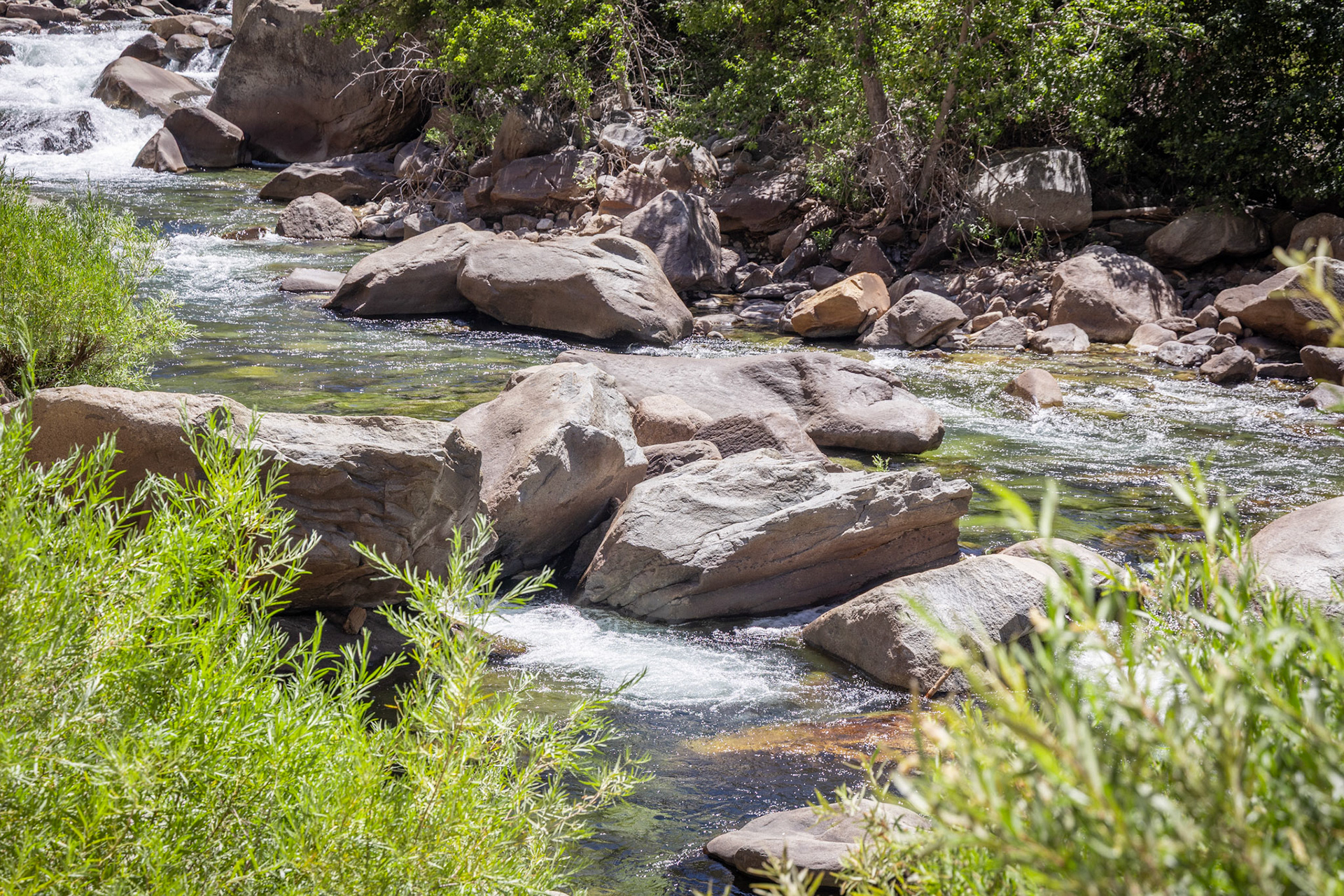 King's Canyon National Park