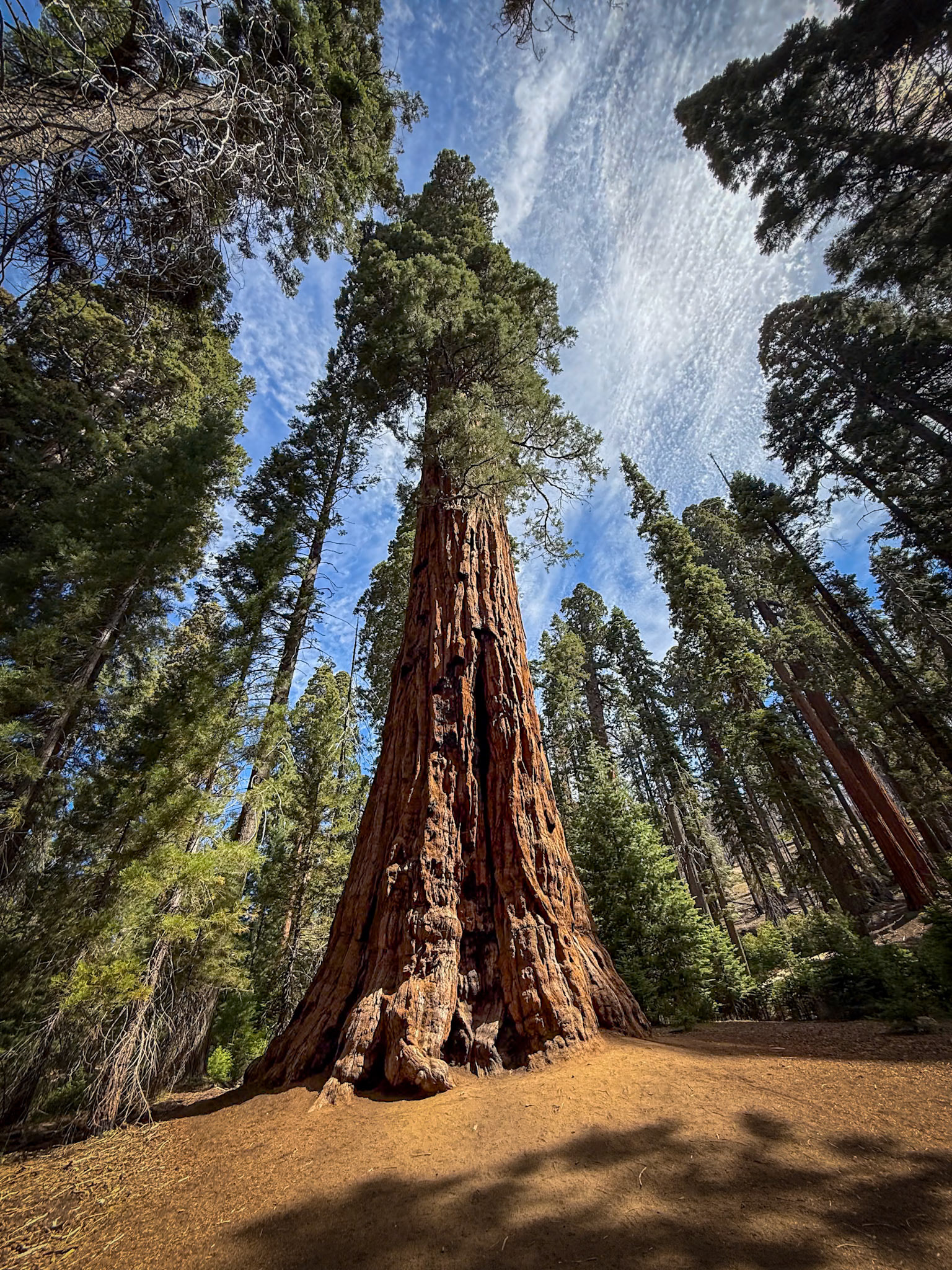 Sequoia National Park