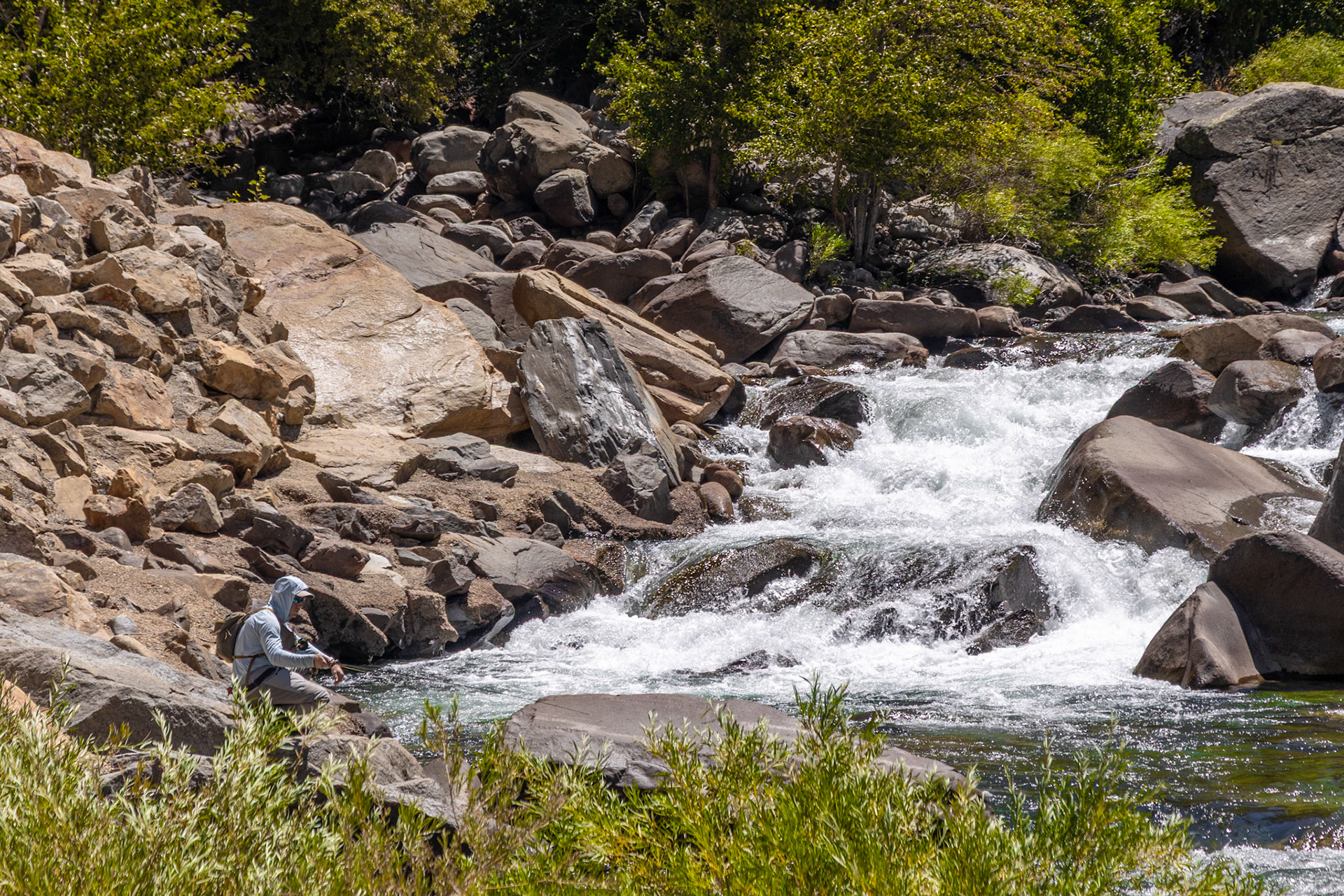 King's Canyon National Park
