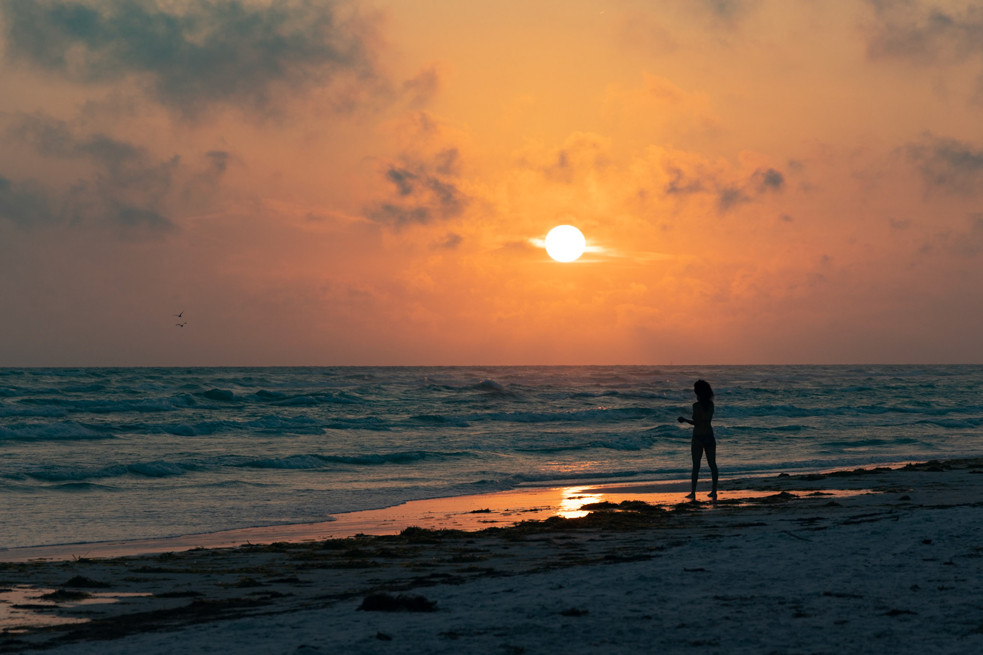 Sunset on Siesta Key