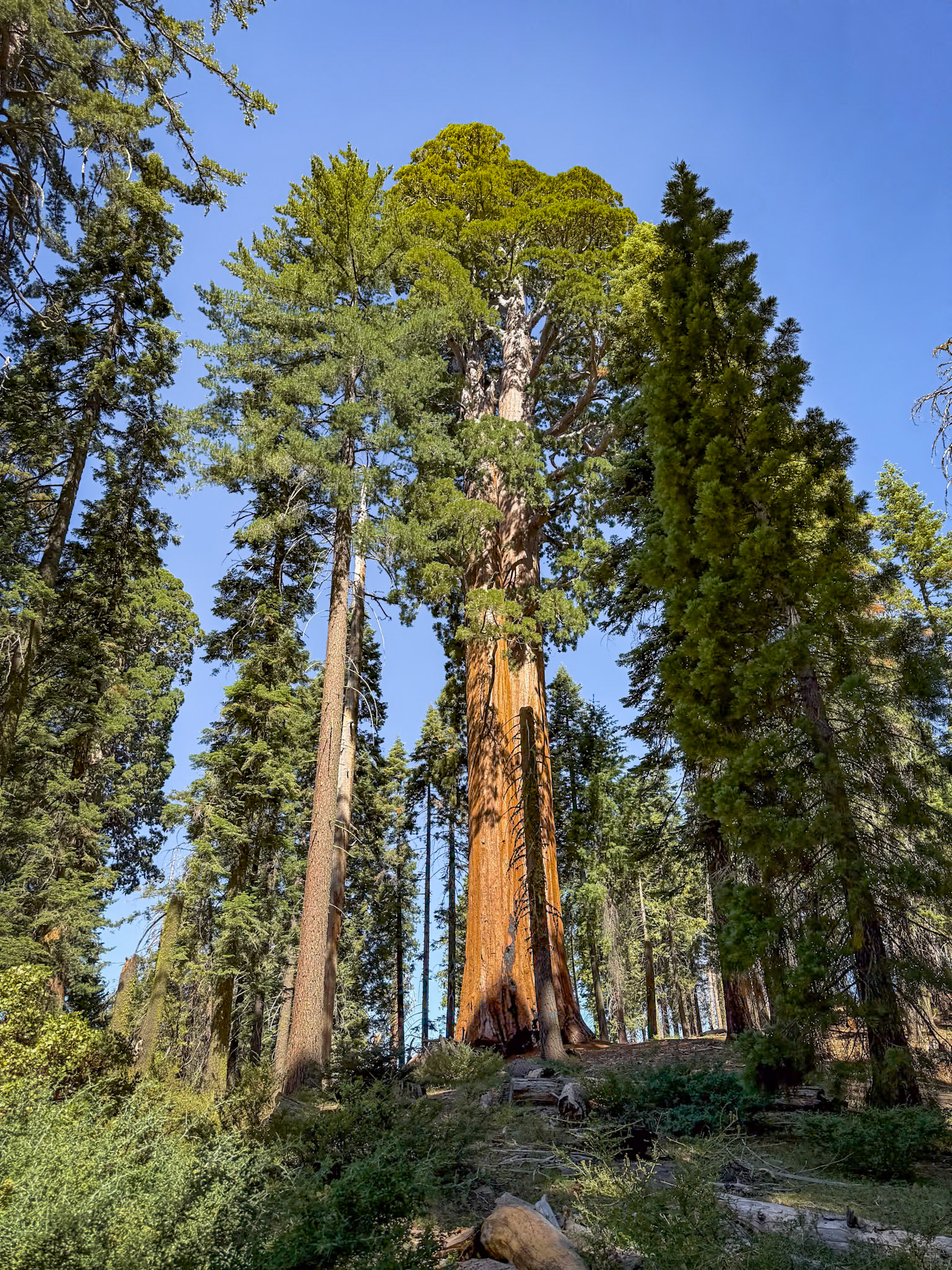 King's Canyon National Park