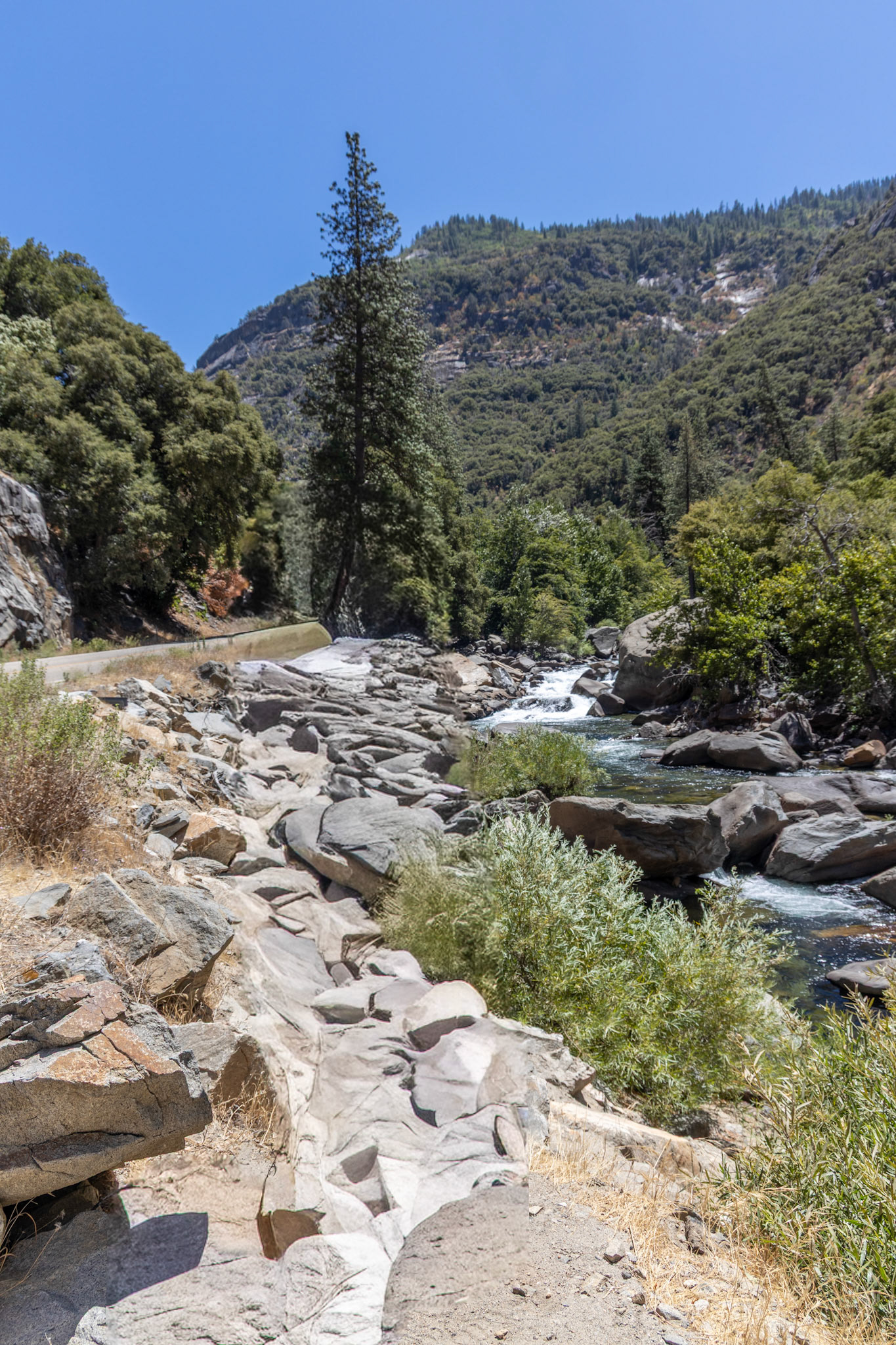 King's Canyon National Park