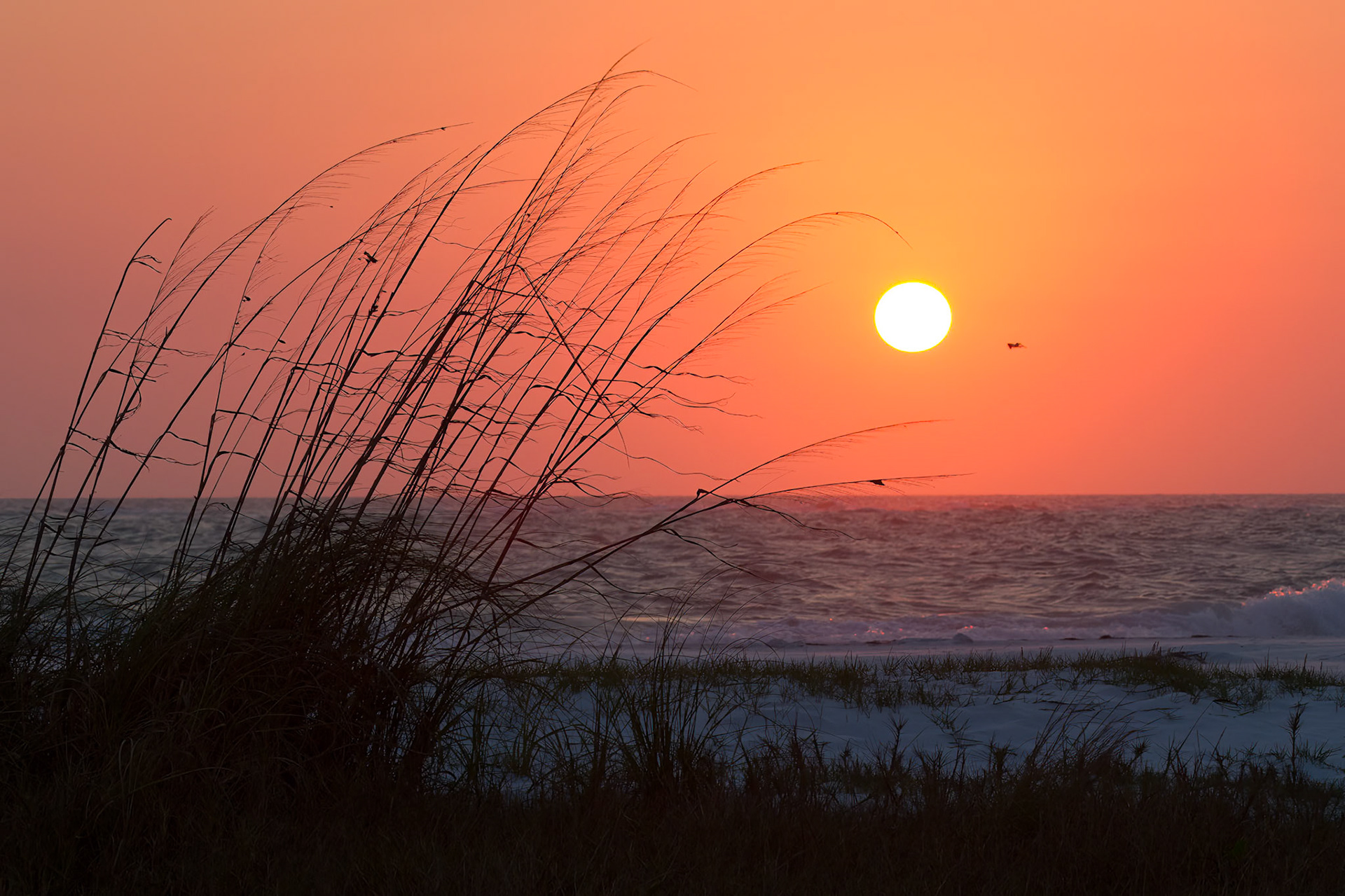 Sunset on Siesta Key