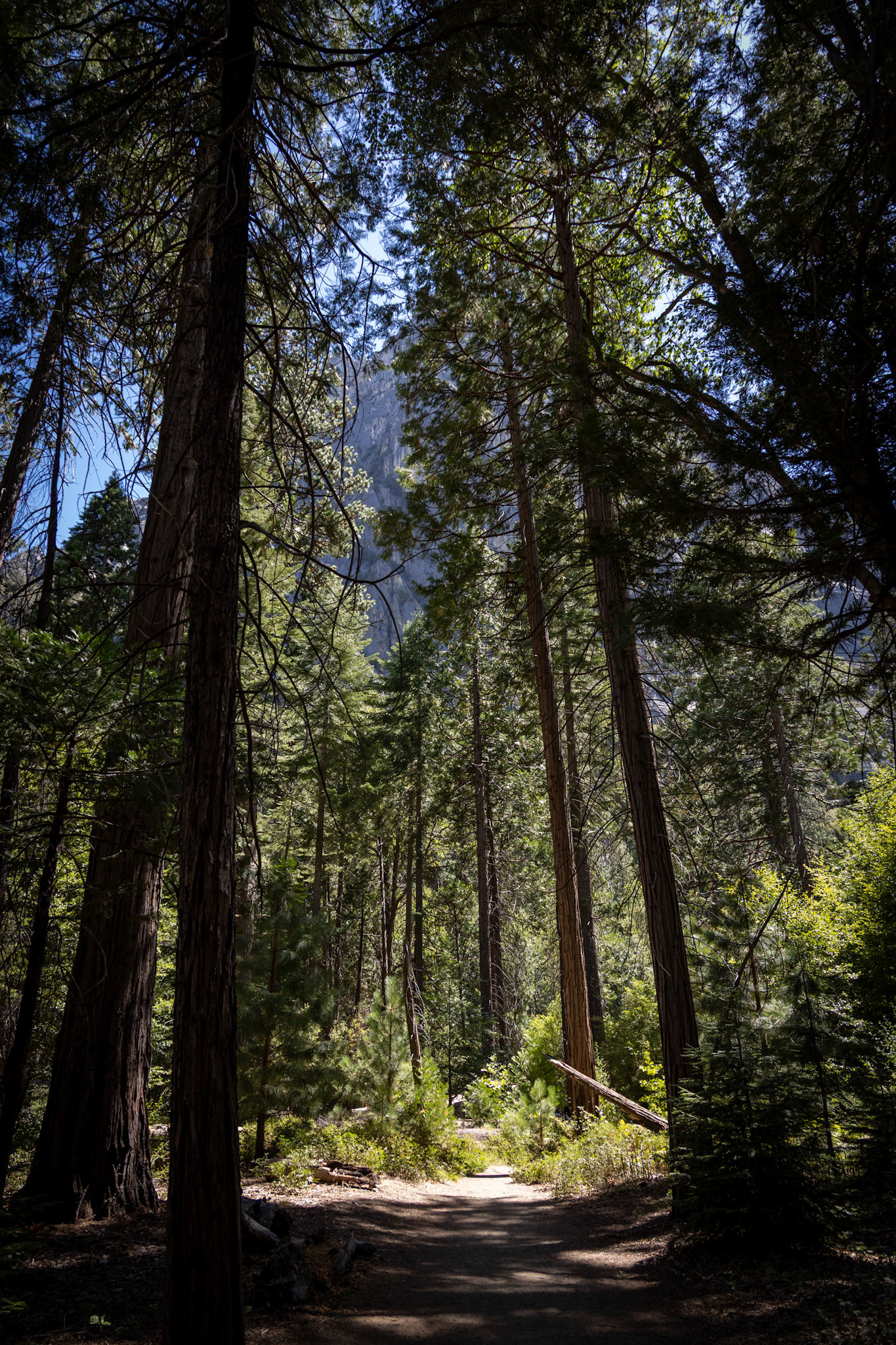 King's Canyon National Park