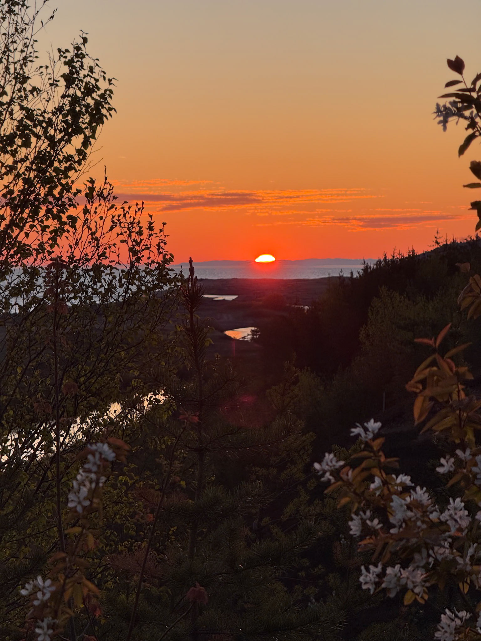 Up North