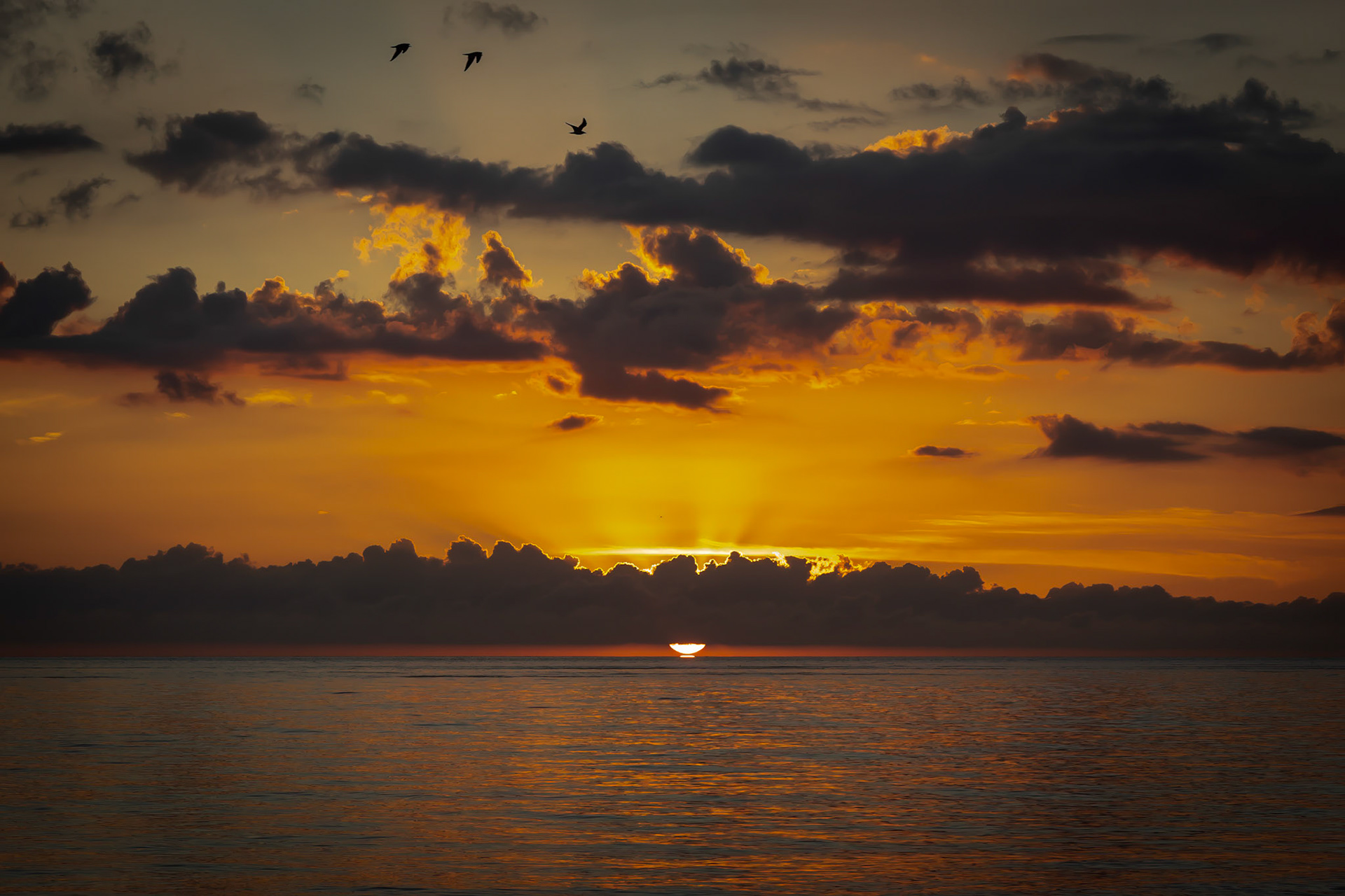 Sunset on Siesta Key