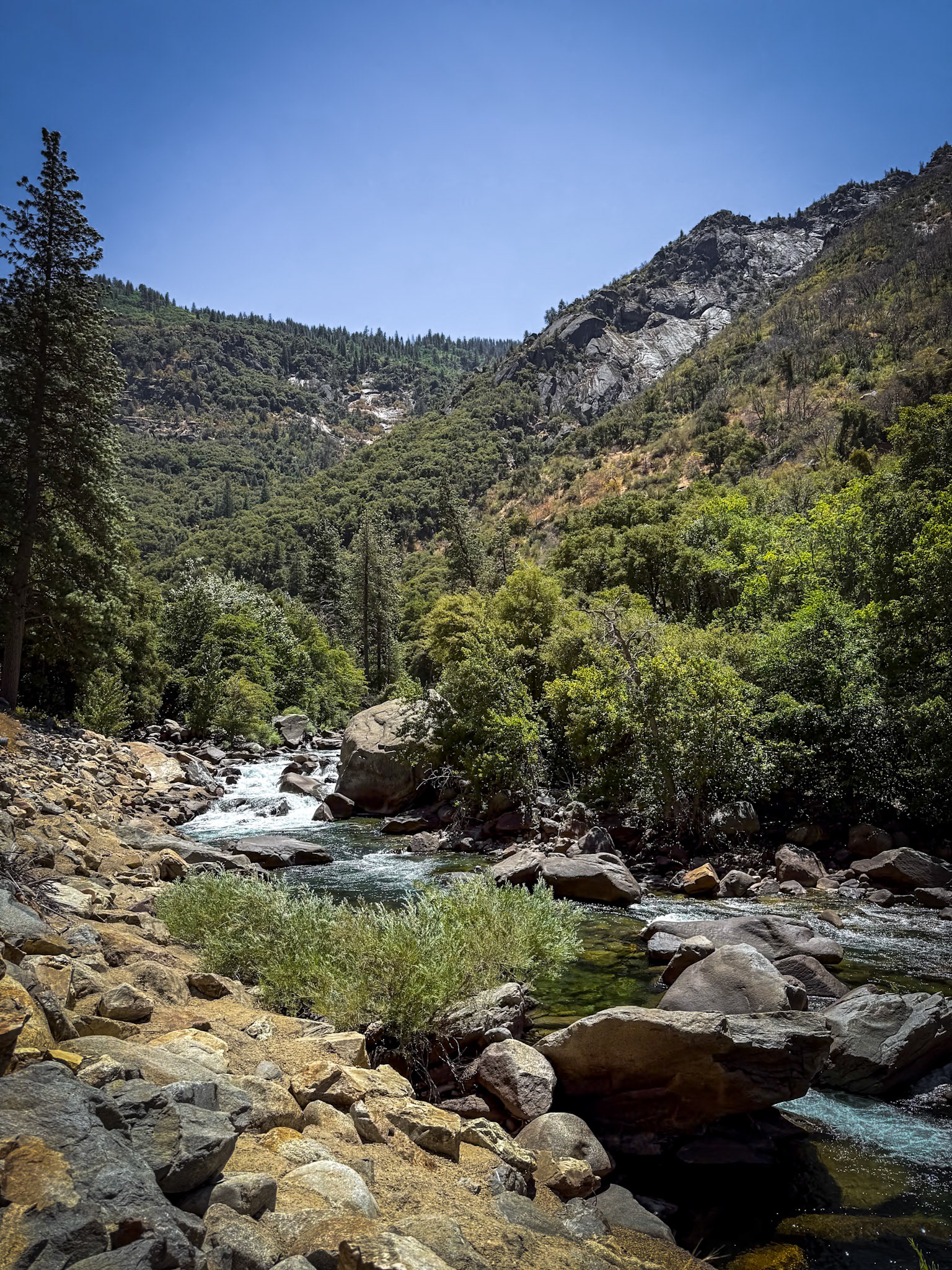 King's Canyon National Park